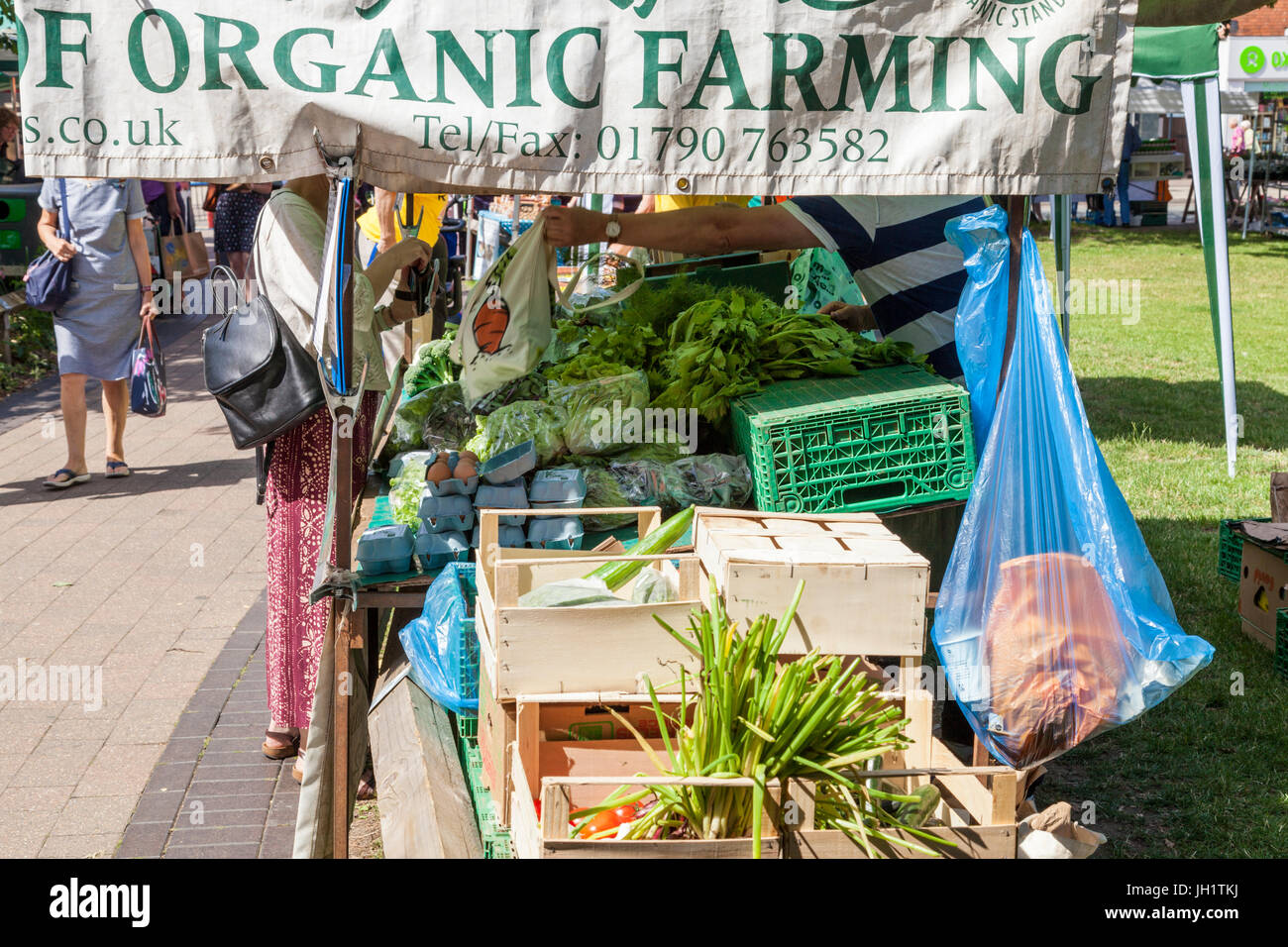 Donna acquistare verdure organiche in vendita su un mercato degli agricoltori, West Bridgford, Nottinghamshire, England, Regno Unito Foto Stock