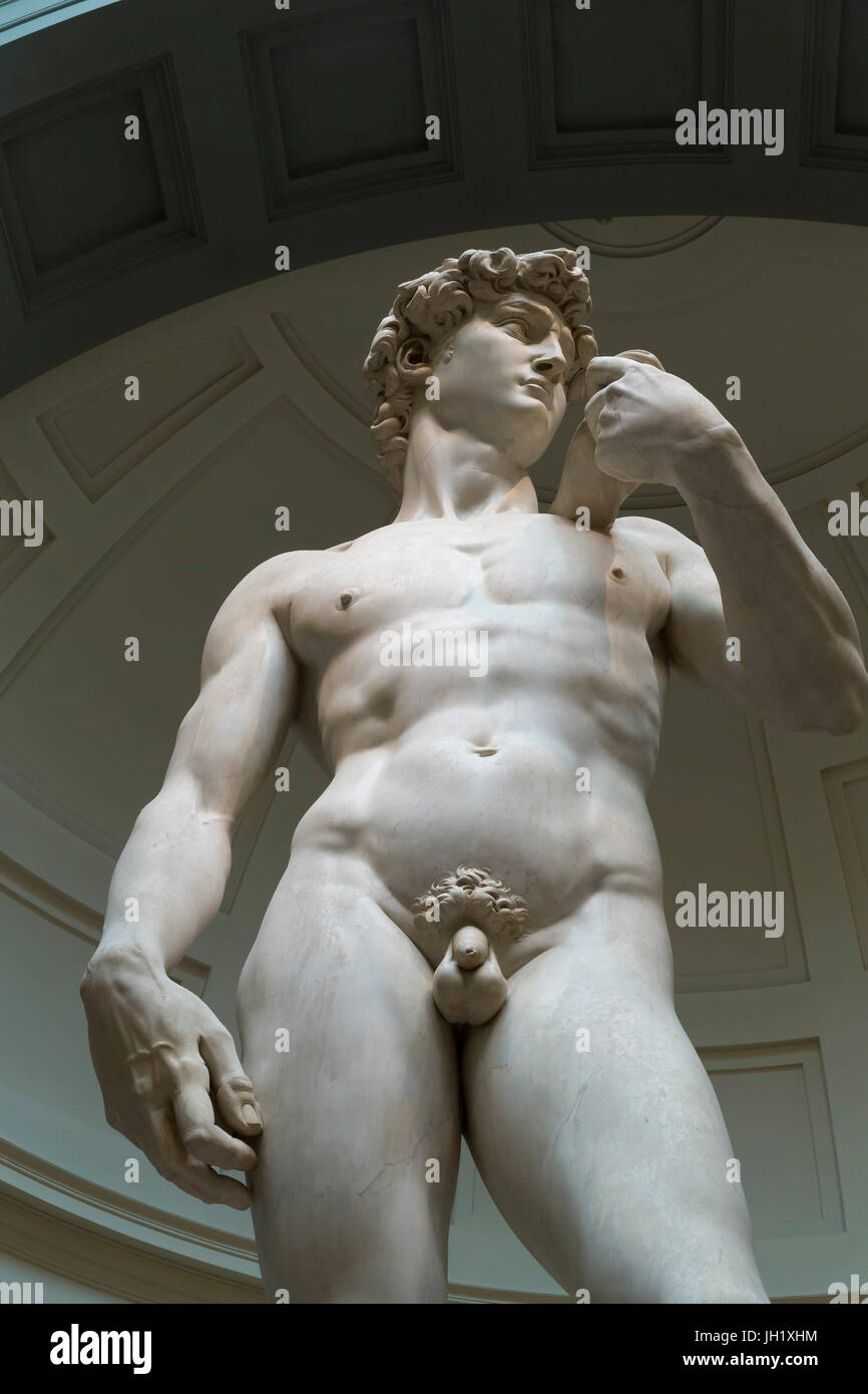La scultura in marmo del David di Michelangelo, 1501-1504, Galleria dell'Accademia, Firenze, Toscana, Italia, Europa Foto Stock