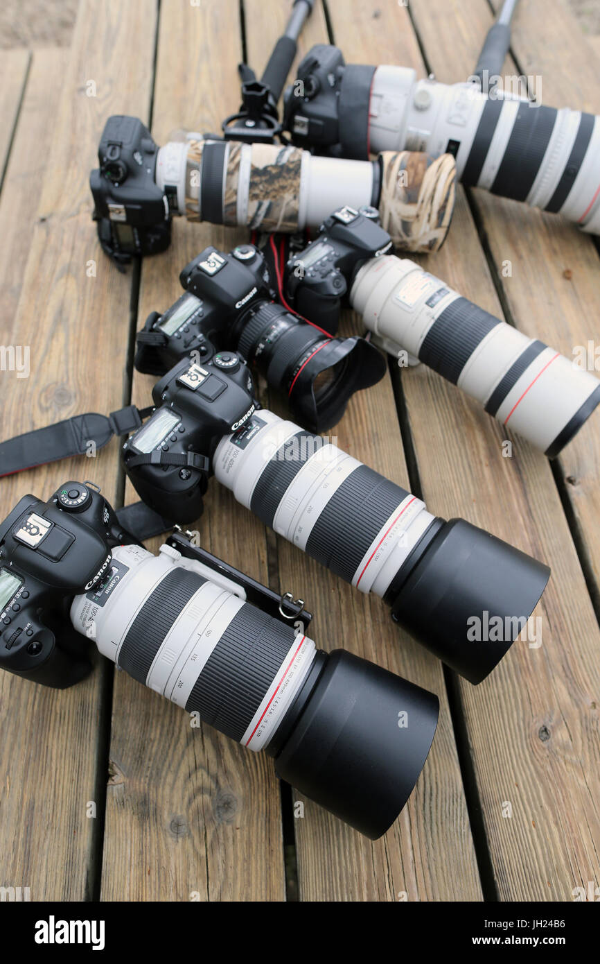 Fotocamere digitali professionali e lenti. Foto Stock