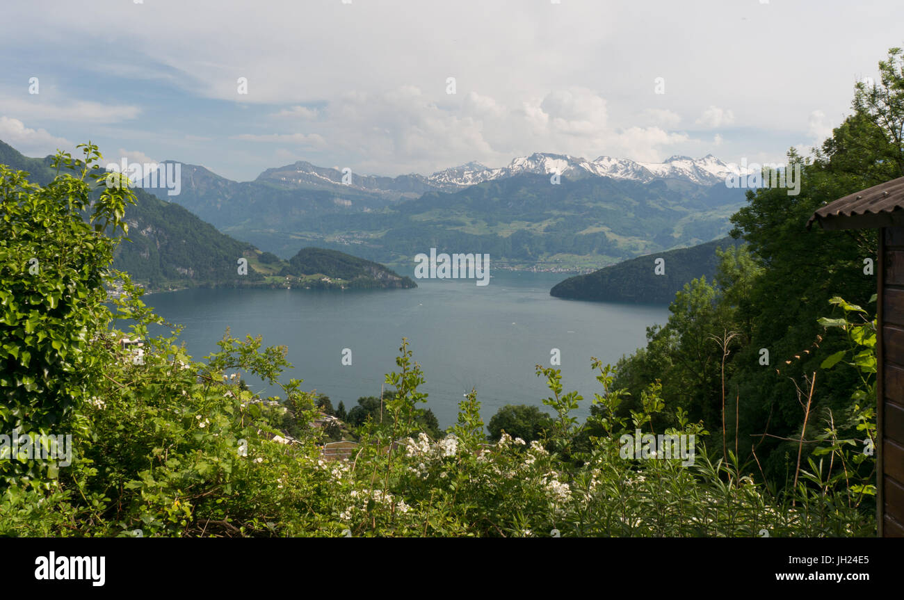 Il lago di Lucerna in Svizzera in una giornata di sole Foto Stock