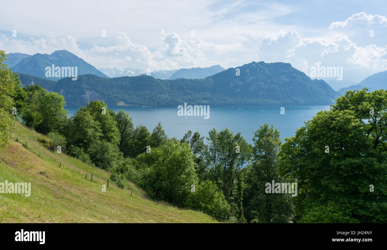 Il lago di Lucerna in Svizzera in una giornata di sole Foto Stock
