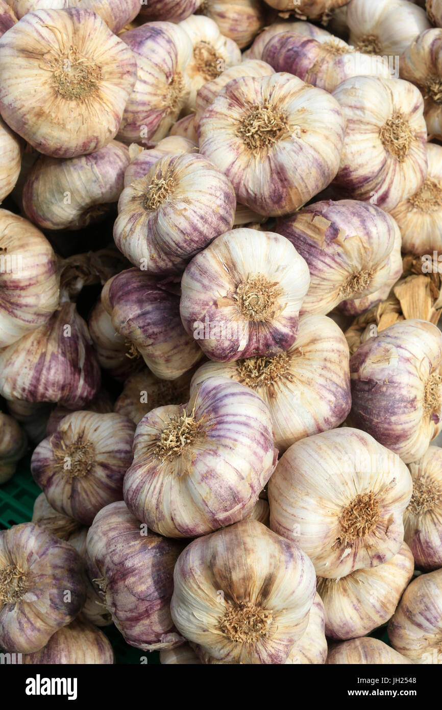 Viola aglio su un mercato. La Francia. Foto Stock