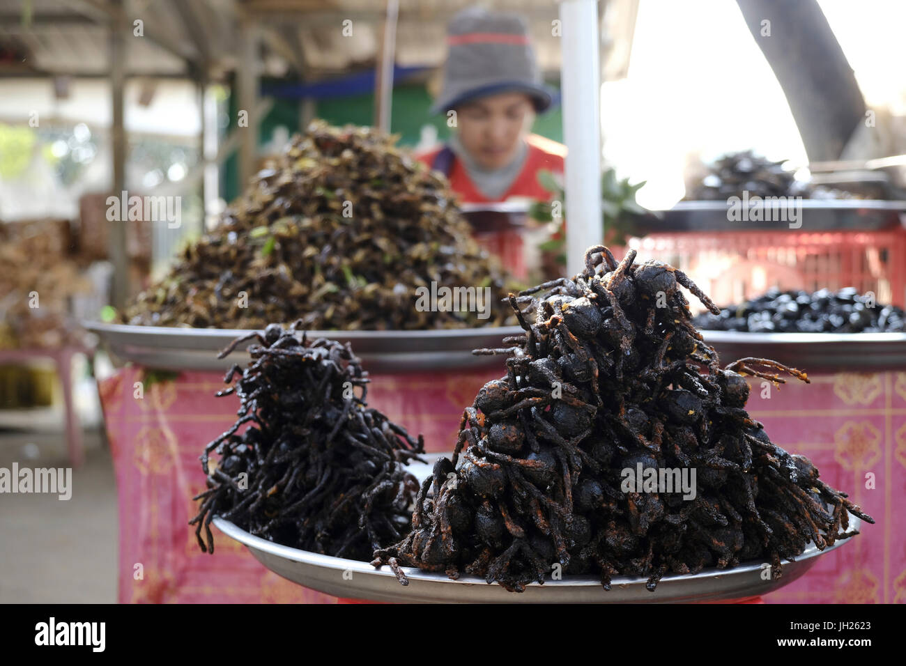 Tarantulas e altri insetti e bug per la vendita come cibo di strada, Cambogia, Indocina, Asia sud-orientale, Asia Foto Stock