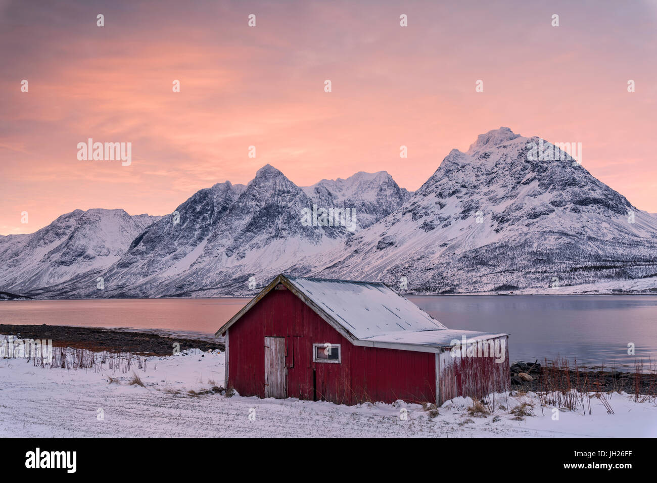 Nuvole rosa all alba la capanna in legno circondato dal mare ghiacciato e vette innevate, Svensby, Alpi Lyngen, Troms, Norvegia e Scandinavia Foto Stock