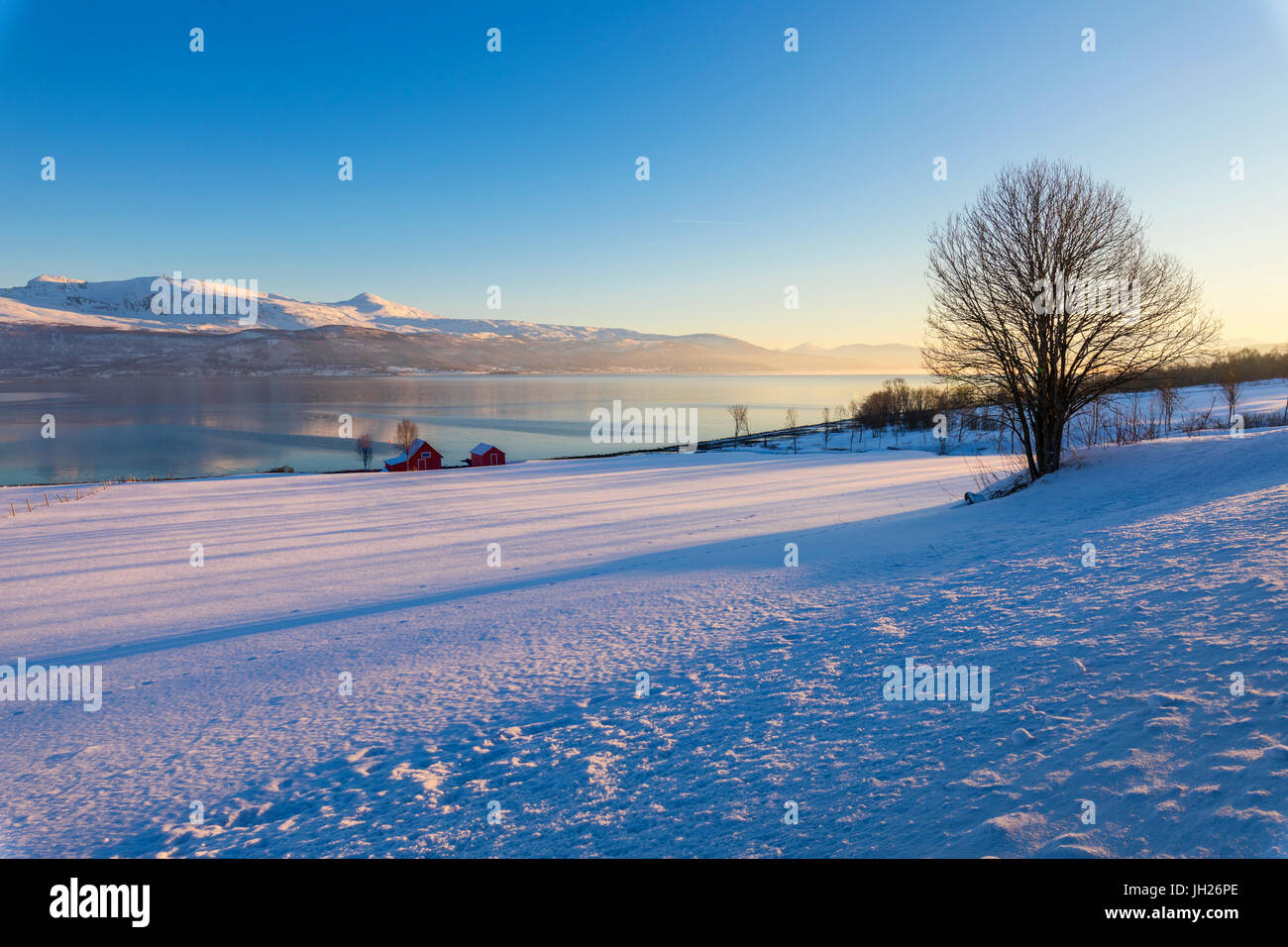 Capanna in legno nel paesaggio innevato rivolta verso il mare a freddo sulla strada che conduce da Gibostad a Finnsnes, Senja, Troms, Norvegia Foto Stock