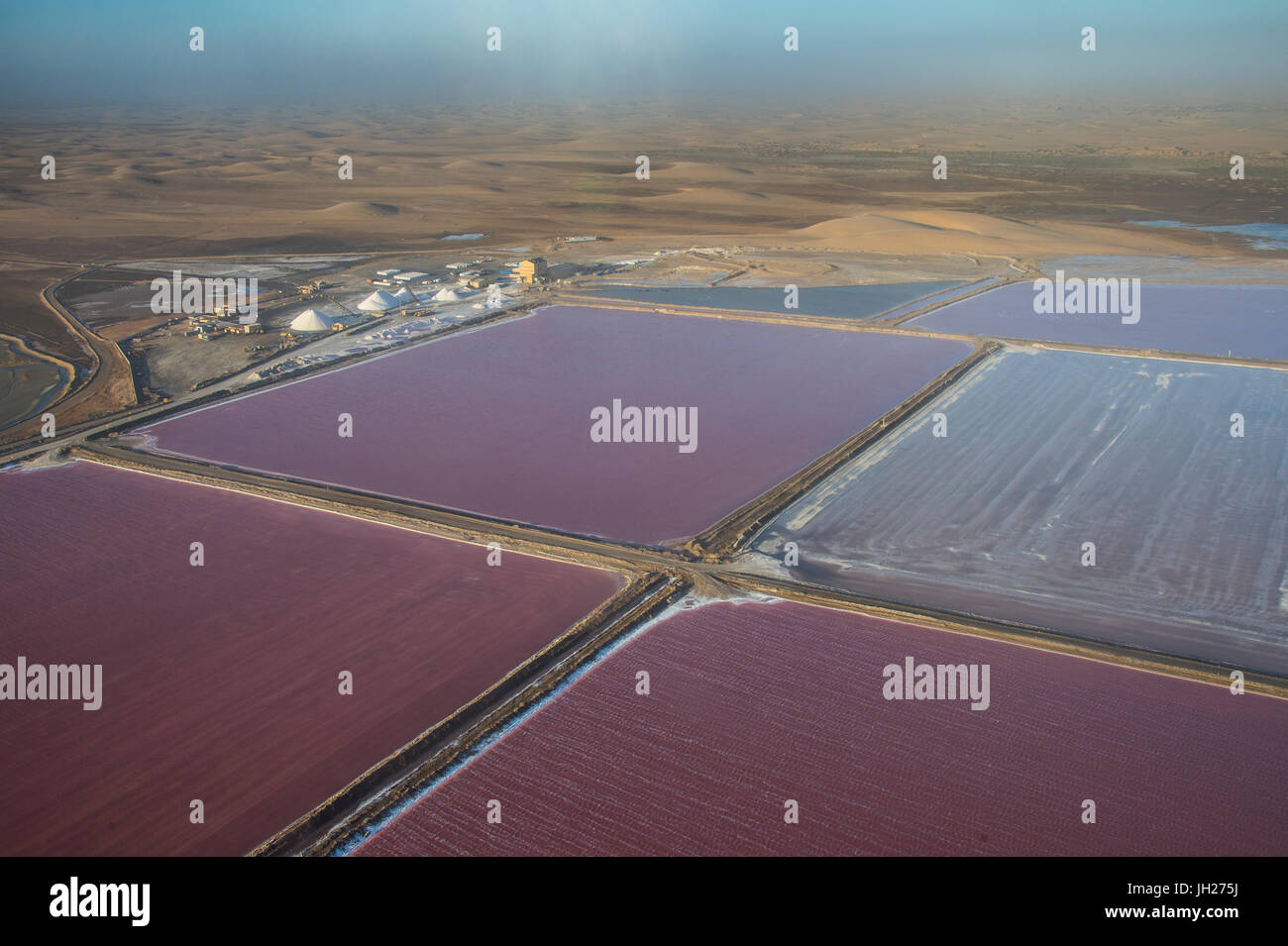 Antenna di saline sul bordo del deserto del Namib, Namibia, Africa Foto Stock