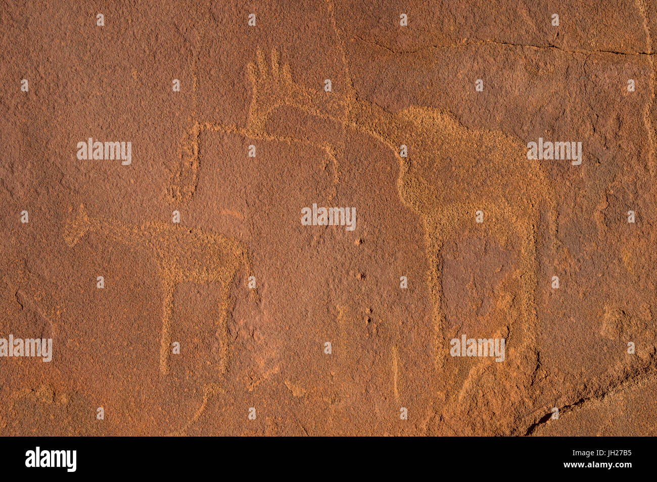 Antiche incisioni rupestri, Twyfelfontein, Sito Patrimonio Mondiale dell'UNESCO, Namibia, Africa Foto Stock