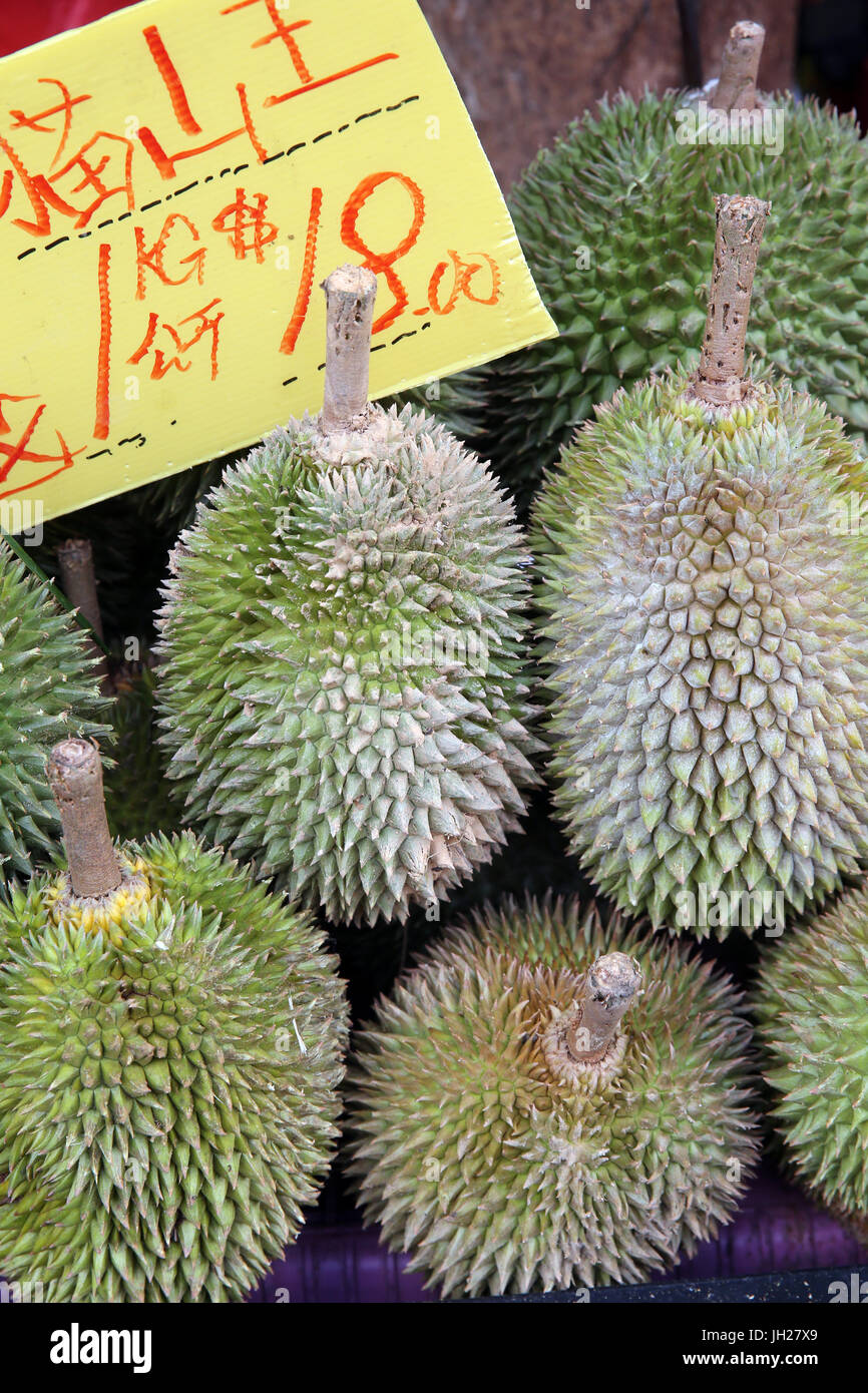 Durians sul supporto del mercato. Singapore. Foto Stock