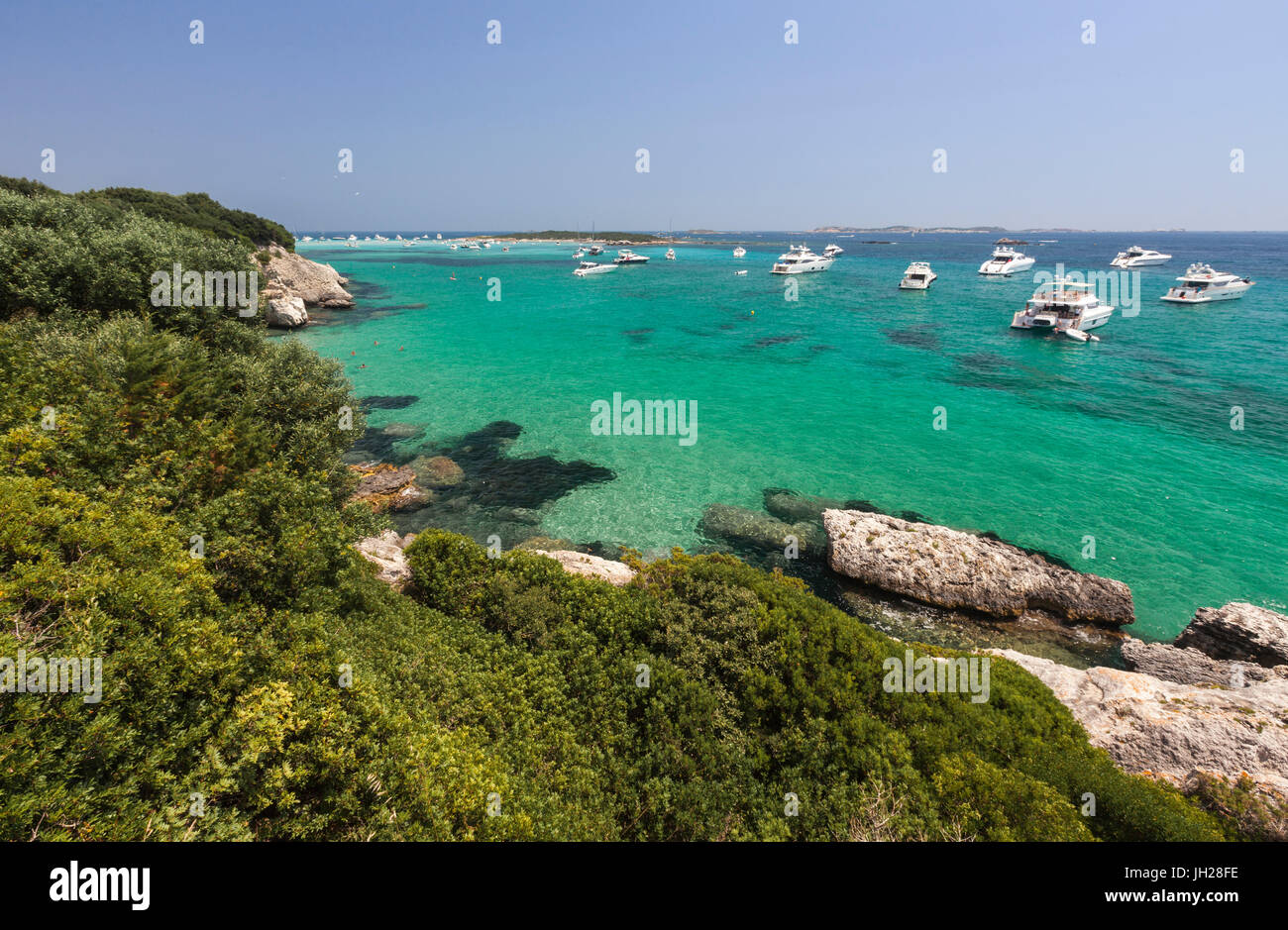 La vegetazione verde dell'entroterra fotogrammi alla velocità barche ormeggiate nel mare cristallino, Sperone, Bonifacio Corsica del Sud, Francia Foto Stock