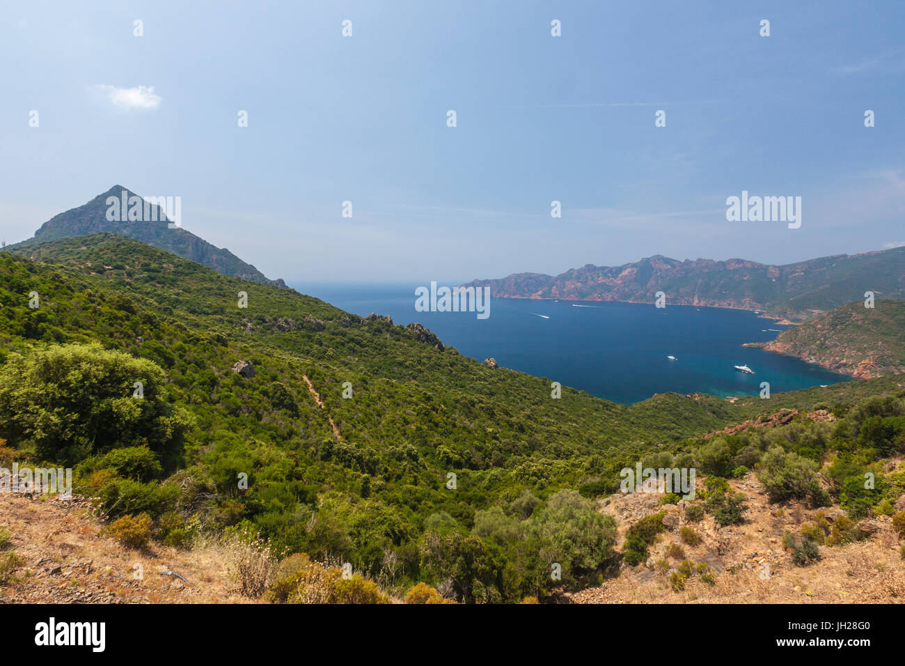 Vista superiore del mare turchese e baia incorniciata dalla vegetazione verde sul promontorio, Porto, Sud Corsica, Francia, Mediterranea Foto Stock