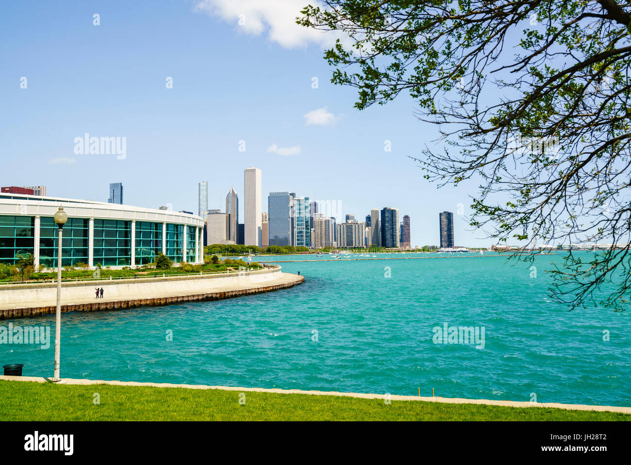 Shedd Aquarium, il lago Michigan e dello skyline della città al di là, Chicago, Illinois, Stati Uniti d'America, America del Nord Foto Stock