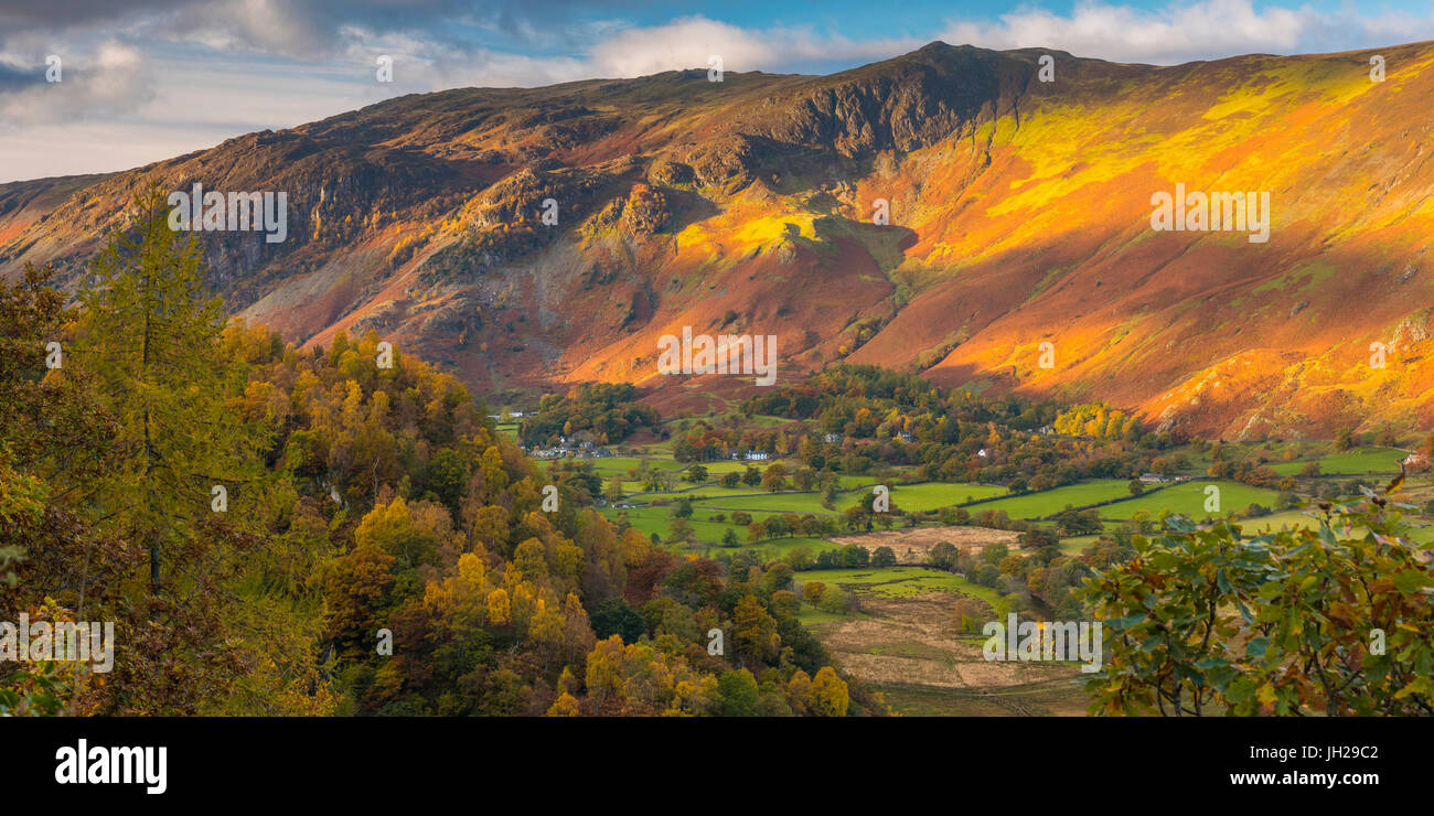 Borrowdale sulla South Bank di Derwentwater, Parco Nazionale del Distretto dei Laghi, Cumbria, England, Regno Unito, Europa Foto Stock