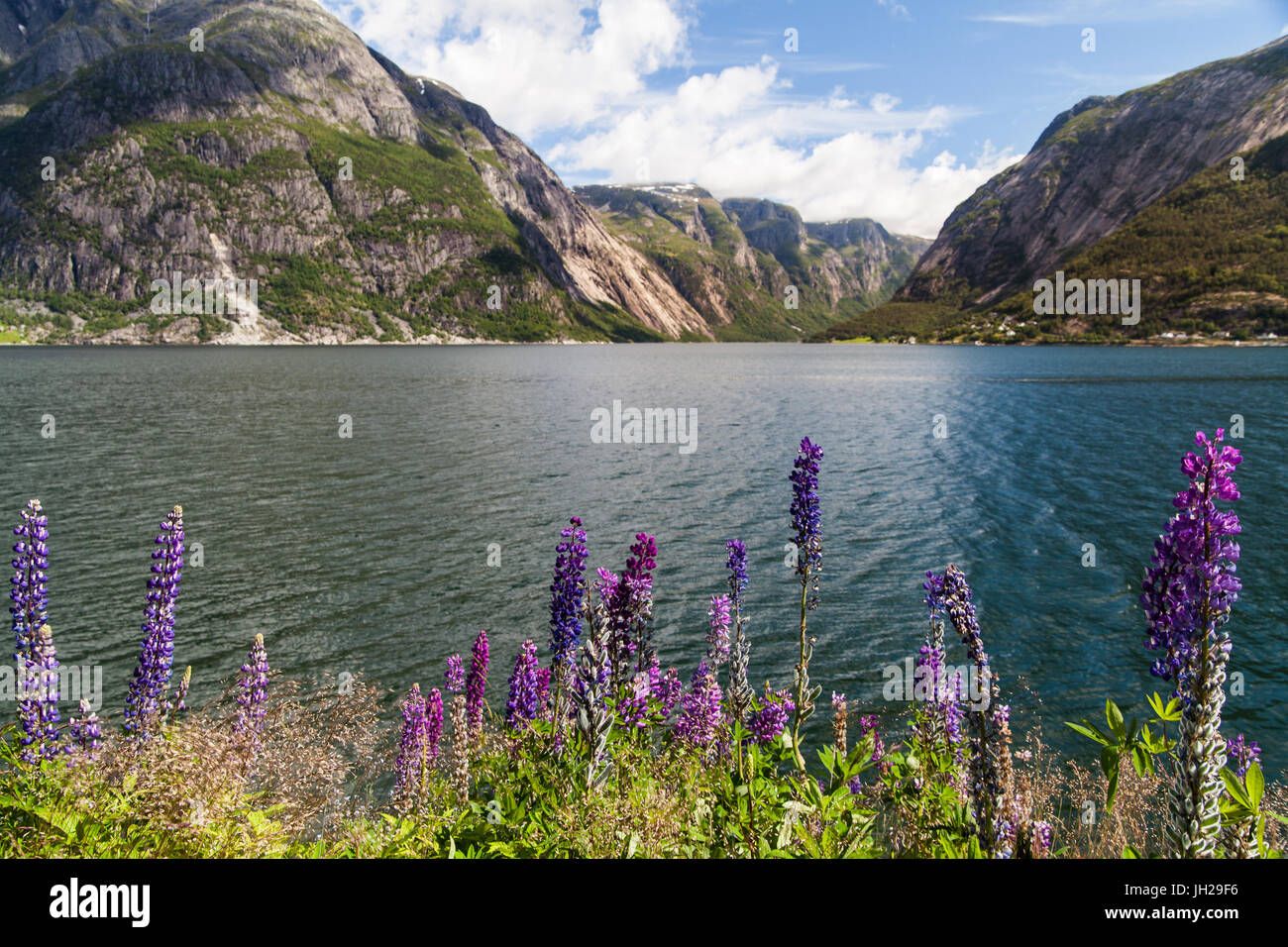 Vista su Eidfjord, Norvegia Foto Stock