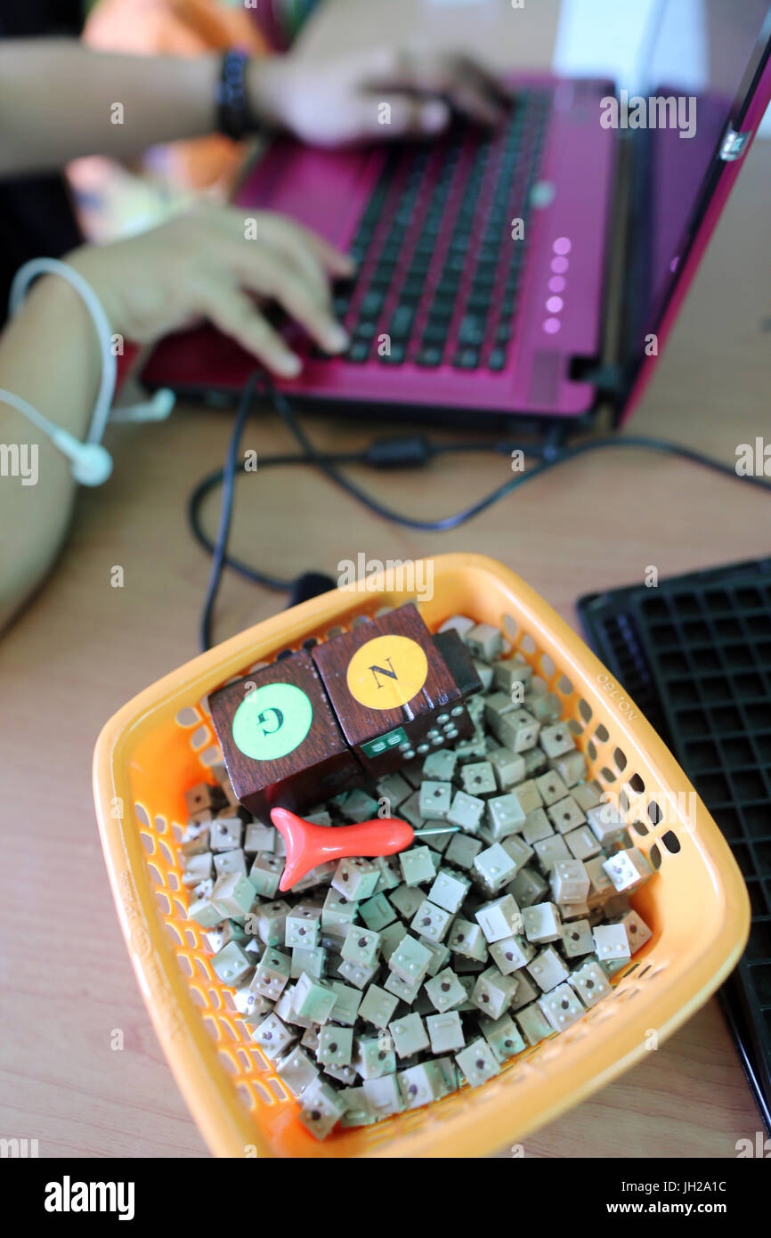 Il Vietnam. Centro per i bambini ciechi. Ragazza utilizzando un computer. Foto Stock