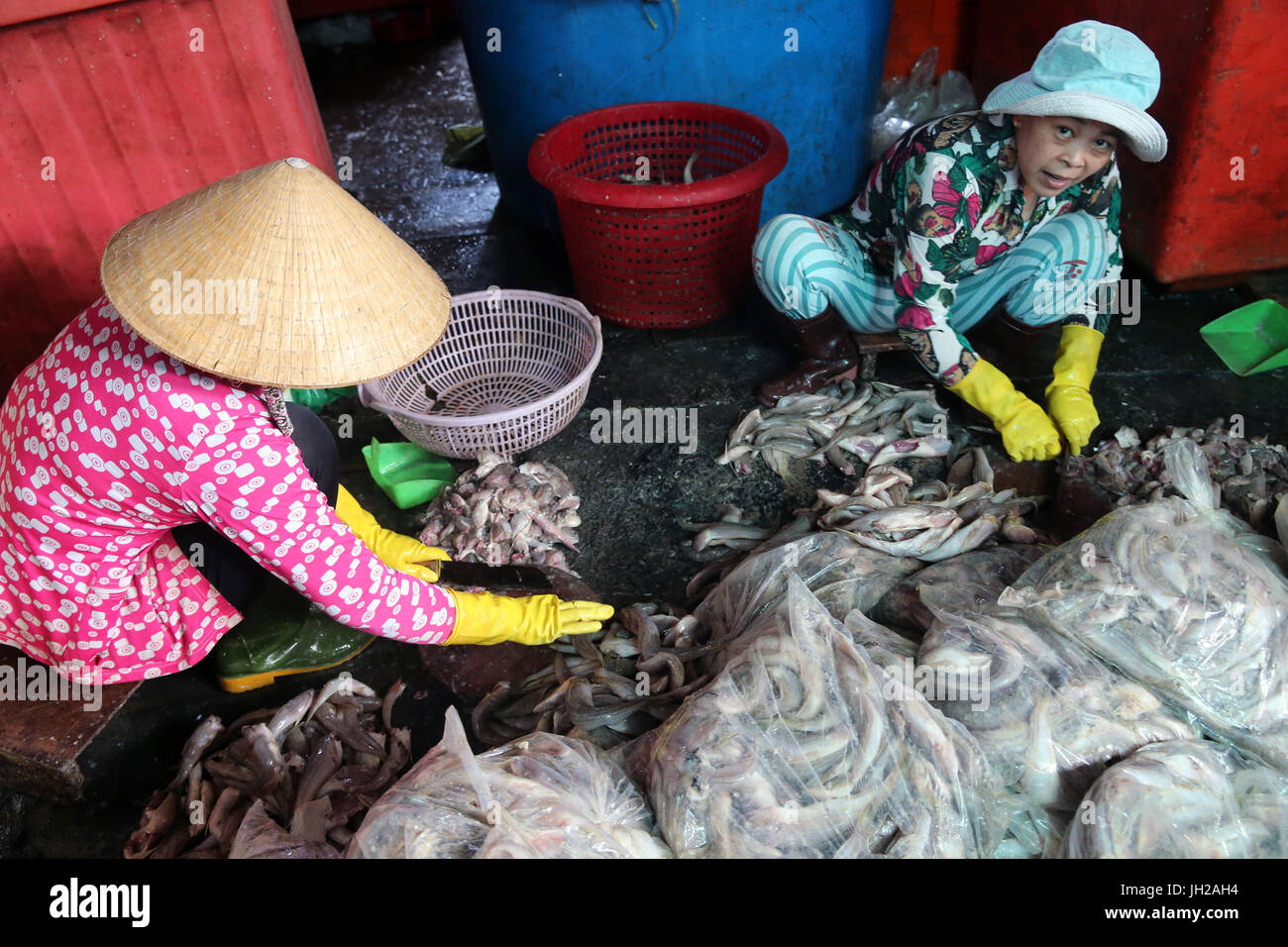 Vung Tau mercato del pesce. Le donne ordinare attraverso il pescato del pesce. Il Vietnam. Foto Stock