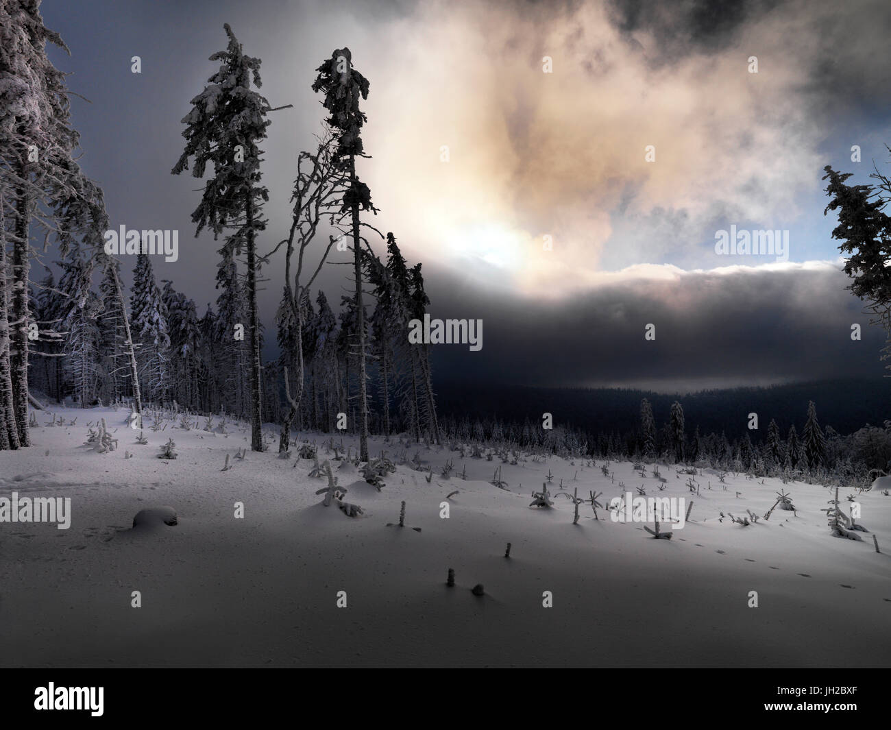 Inverno blizzard nel Beskidy Mountains Foto Stock