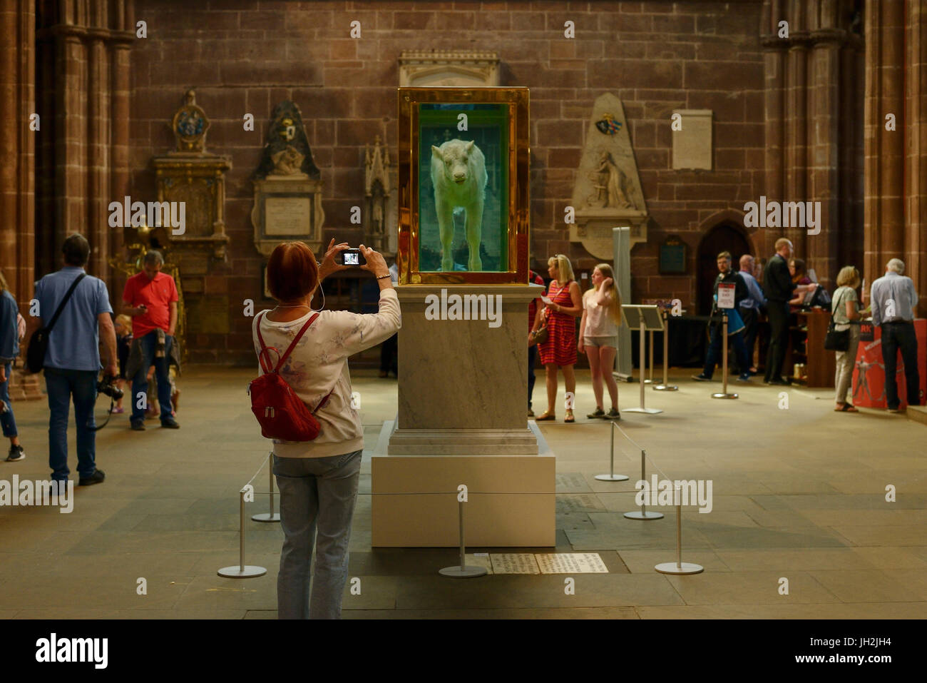 Chester, Regno Unito. 12 luglio 2017. Un visitatore a fotografare la scultura falso idolo di Damien Hirst all'interno di Chester Cathedral come parte dell'estate Arca esposizione di scultura. Credito: Andrew Paterson/Alamy Live News Foto Stock