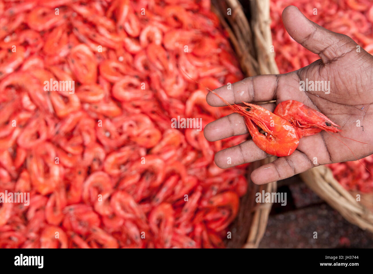 Secchi e salati gamberi in canestri di vimini a mercato principale di Colombo, capitale dello Sri Lanka Foto Stock