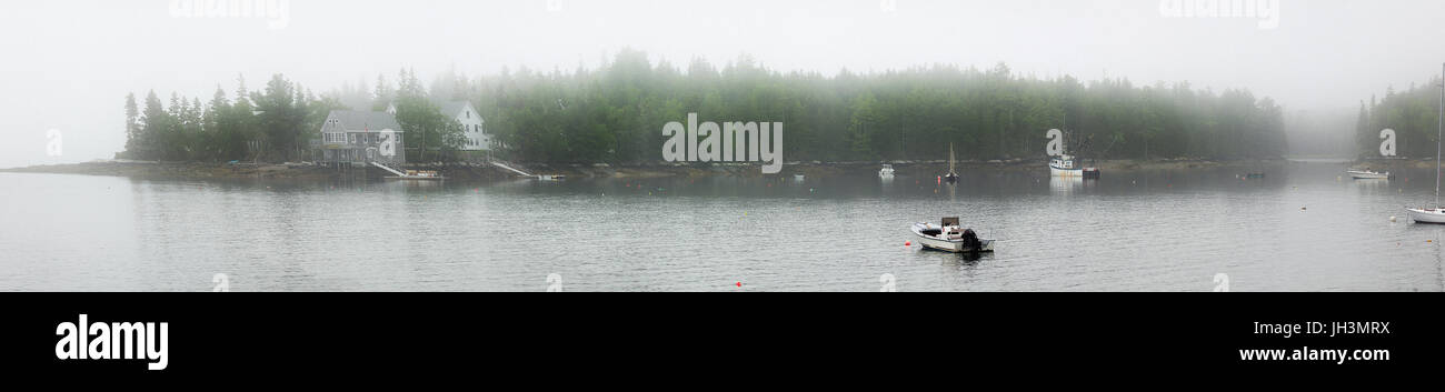 Foschia mattutina a Hog Island, Maine, Stati Uniti d'America. home di Hog Island Audubon Camp. Foto Stock