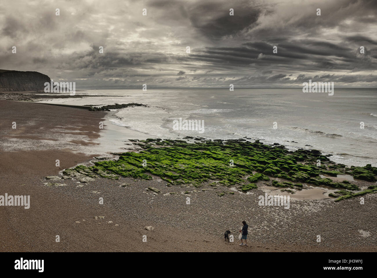 Dog walker sulla spiaggia a est, Hastings, East Sussex, England, Regno Unito Foto Stock