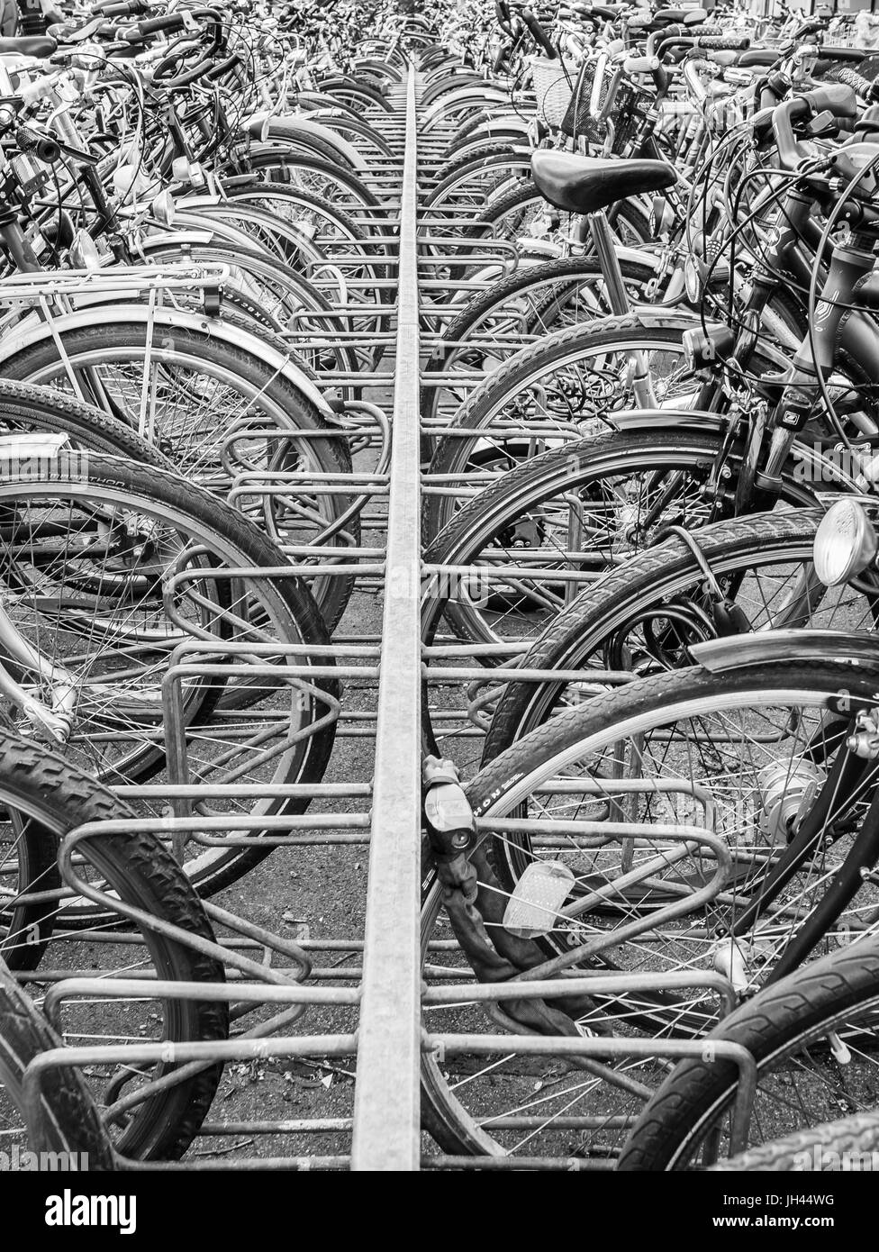Heidelberg, Germania - 26 Febbraio 2016 - molte biciclette presso la stazione ferroviaria Foto Stock