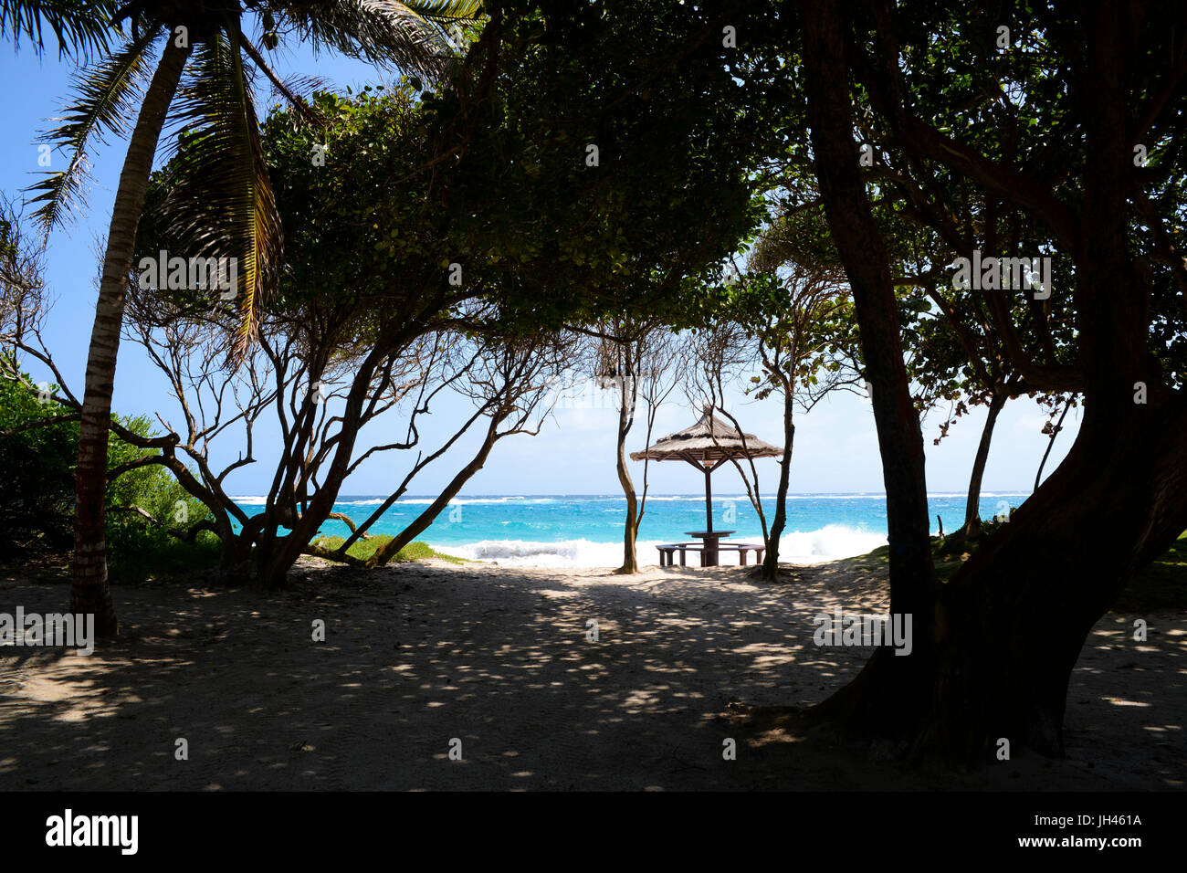 Approccio ai maccheroni Beach, visto attraverso gli alberi, mostra acqua turchese e stile tiki ombrellone Foto Stock