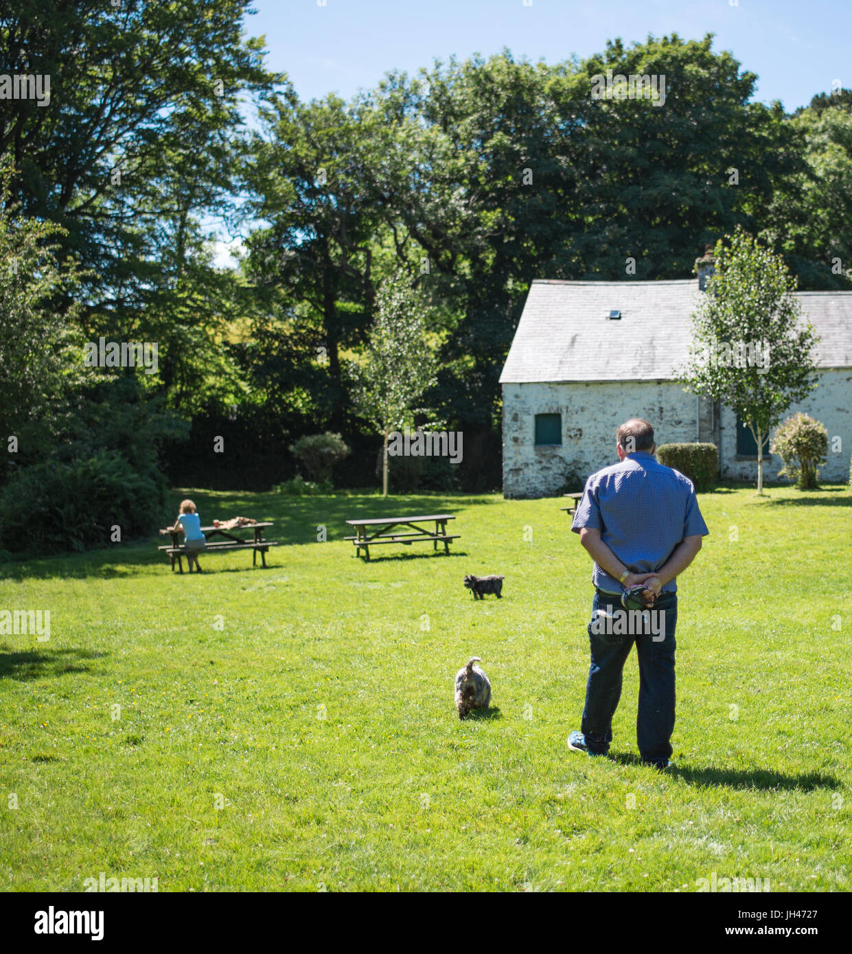 Persone in un parco, uomo a camminare i cani Foto Stock
