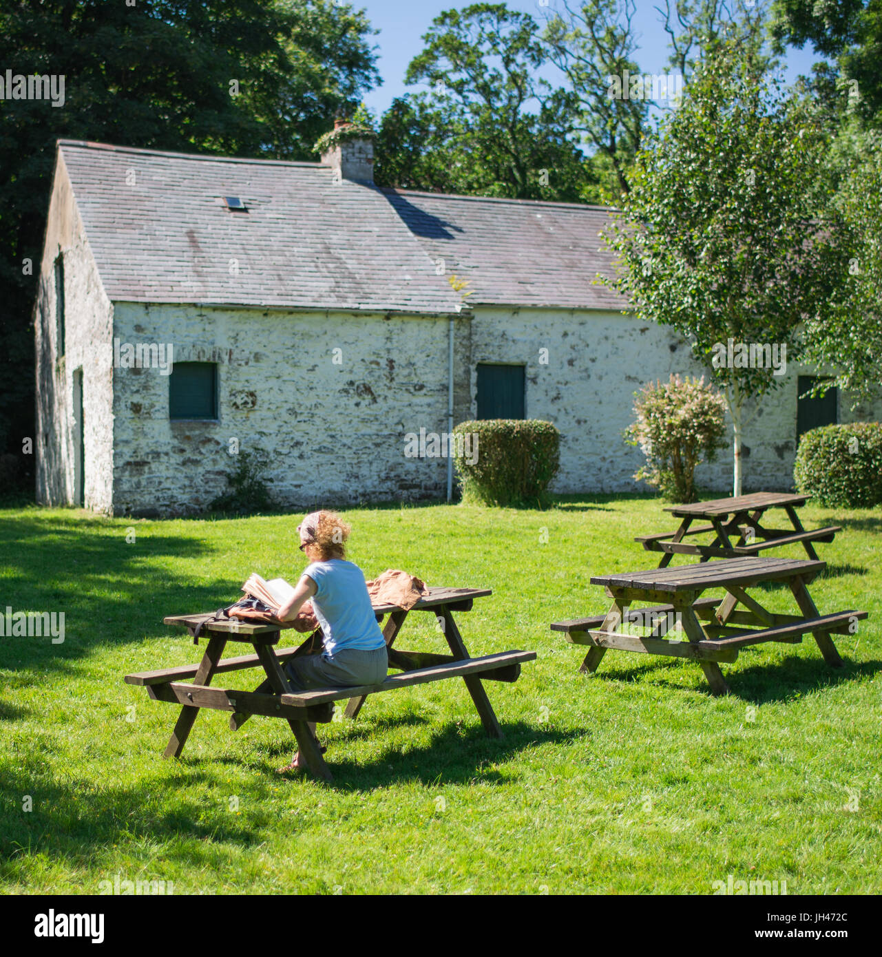 Donna libro di lettura su un banco di lavoro Foto Stock