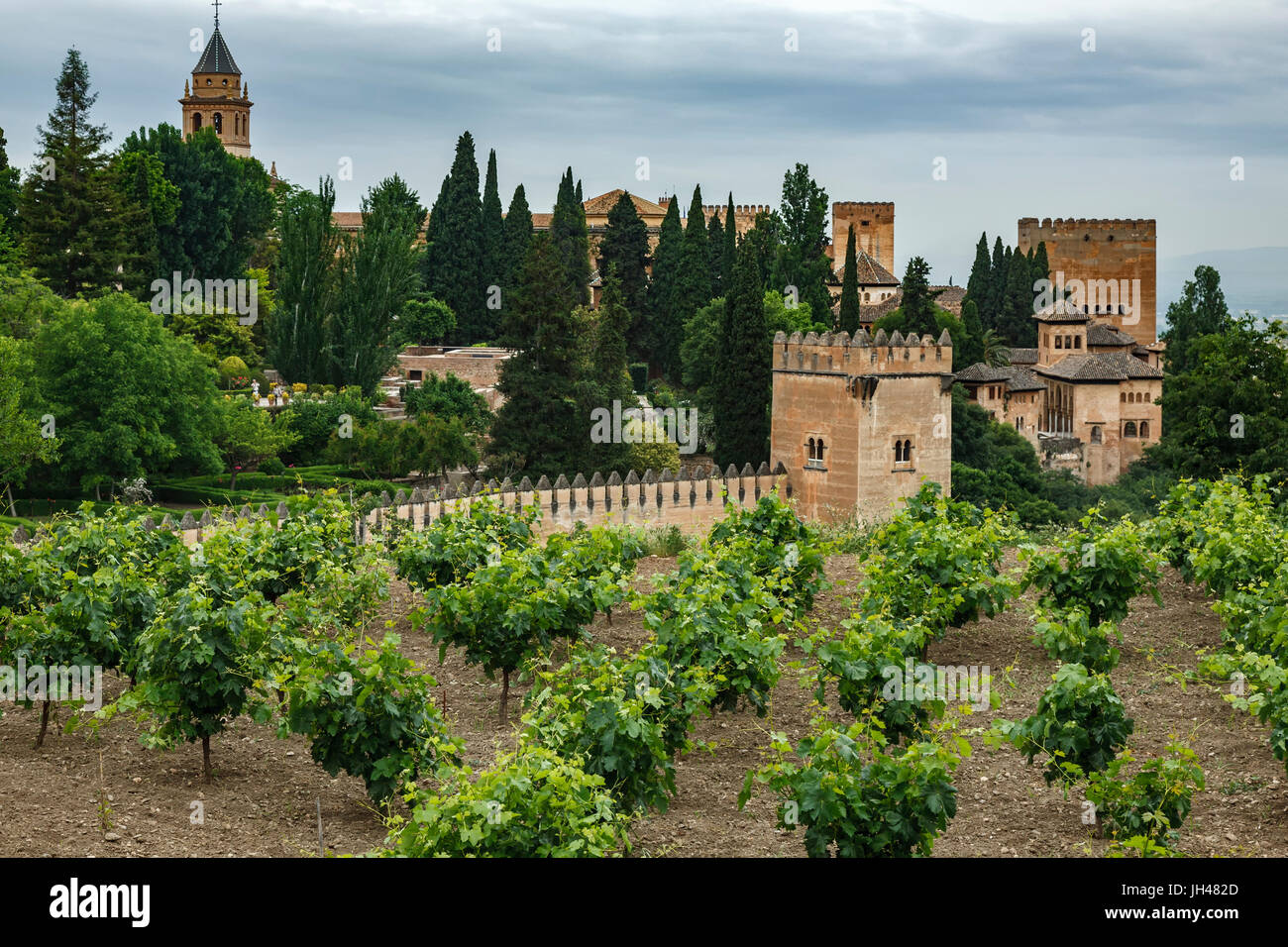 Vigneto e l'Alhambra di Granada, Spagna Foto Stock