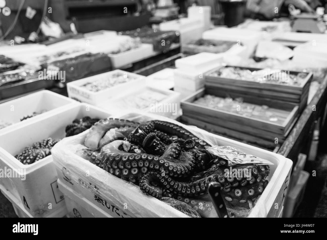 Visitare il famoso mercato del pesce di Tokyo Foto Stock