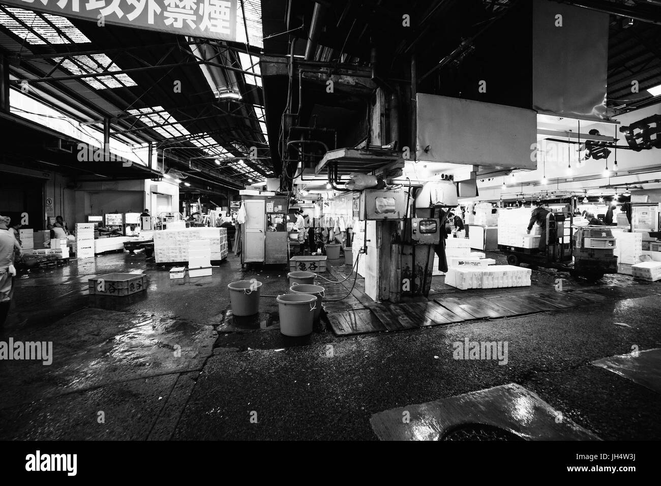 Visitare il famoso mercato del pesce di Tokyo Foto Stock