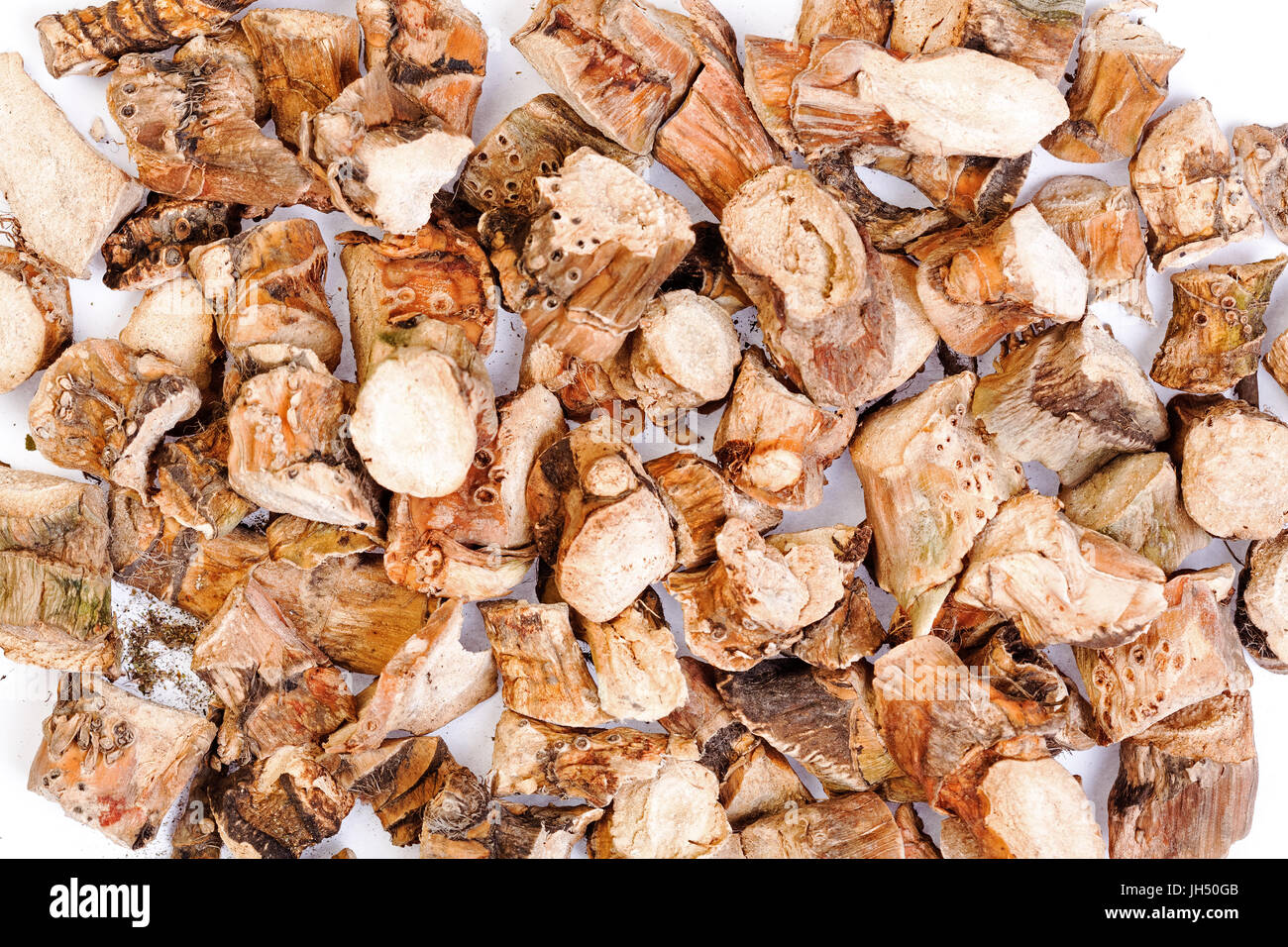 Acorus calamus-medicina tradizionale cinese. Foto Stock