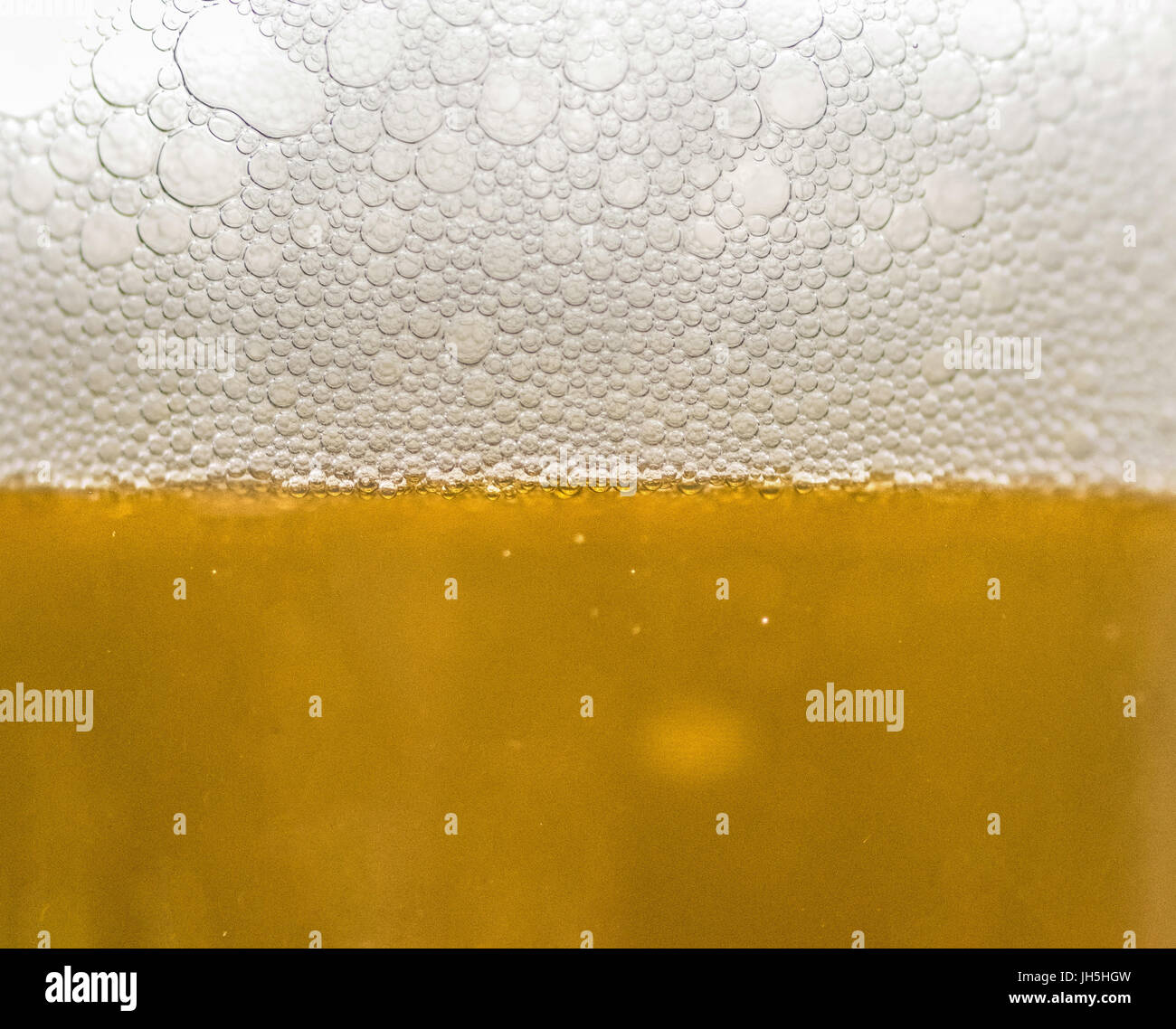Fresche, freddo, giallo luce di birra con schiuma closeup Foto Stock