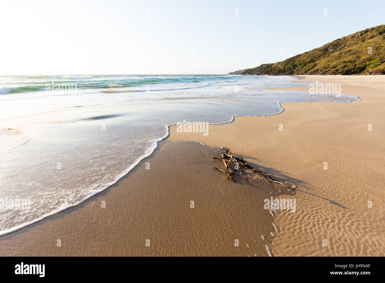 Un'onda lavaggi driftwood su un bel, remota spiaggia incontaminata durante un luminoso, mattinata estiva in Australia. Foto Stock
