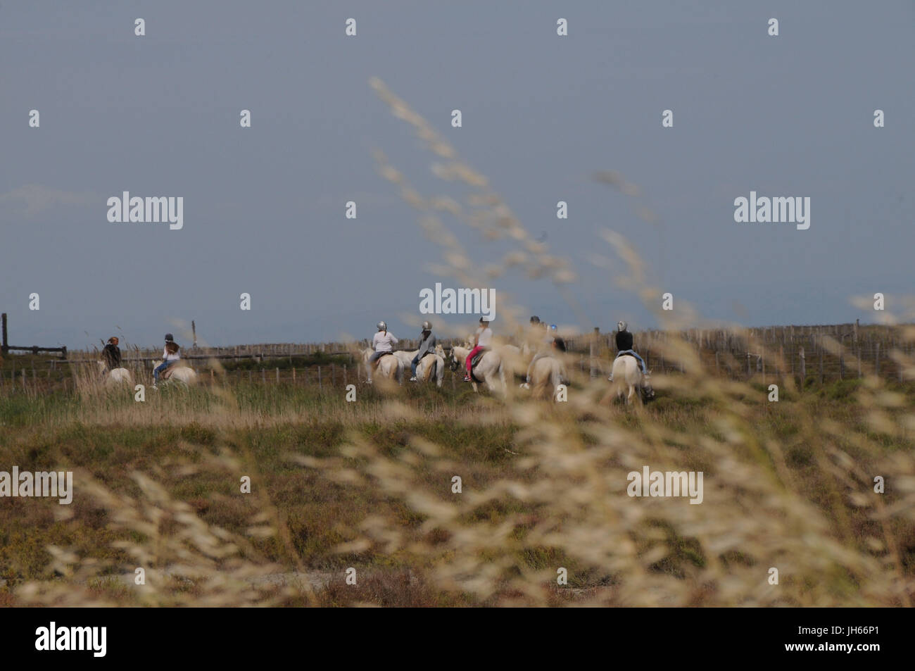 Persone; Cavalieri; terreno pianeggiante; 2017, Saint Marie de la Mer, Camargue, Francia Foto Stock