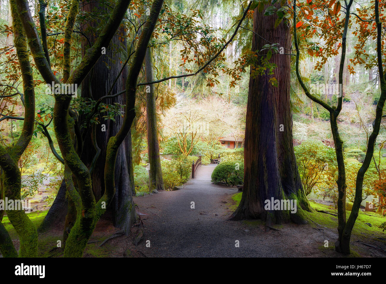 Il Boise sentiero forestale a Portland Gardedn giapponese Foto Stock