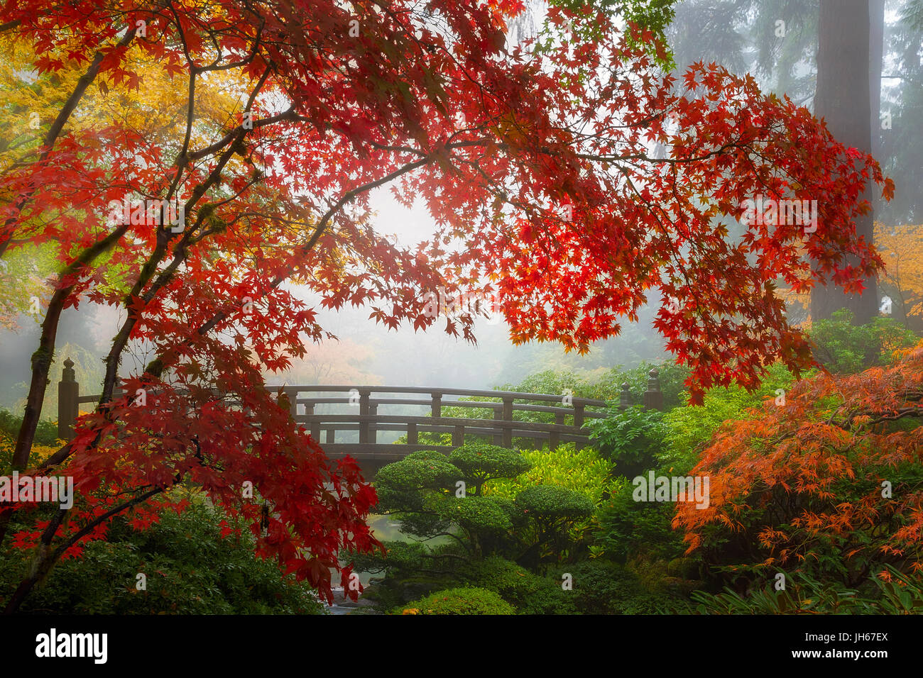 I colori dell'autunno dalla Luna ponte in Portland Giardino Giapponese una mattinata nebbiosa Foto Stock