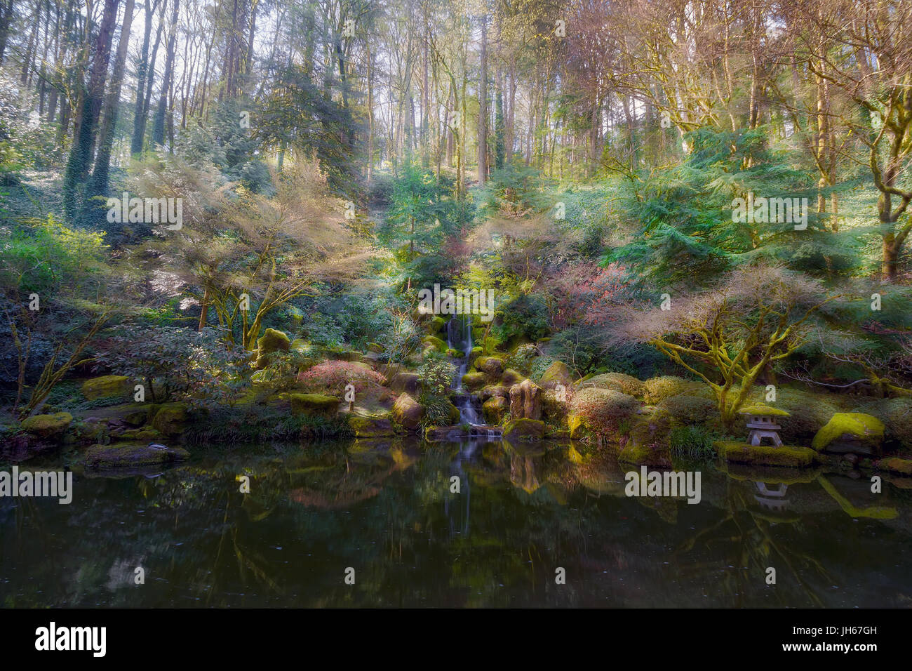 Celeste cade nella luce del mattino al Portland giardino giapponese Foto Stock