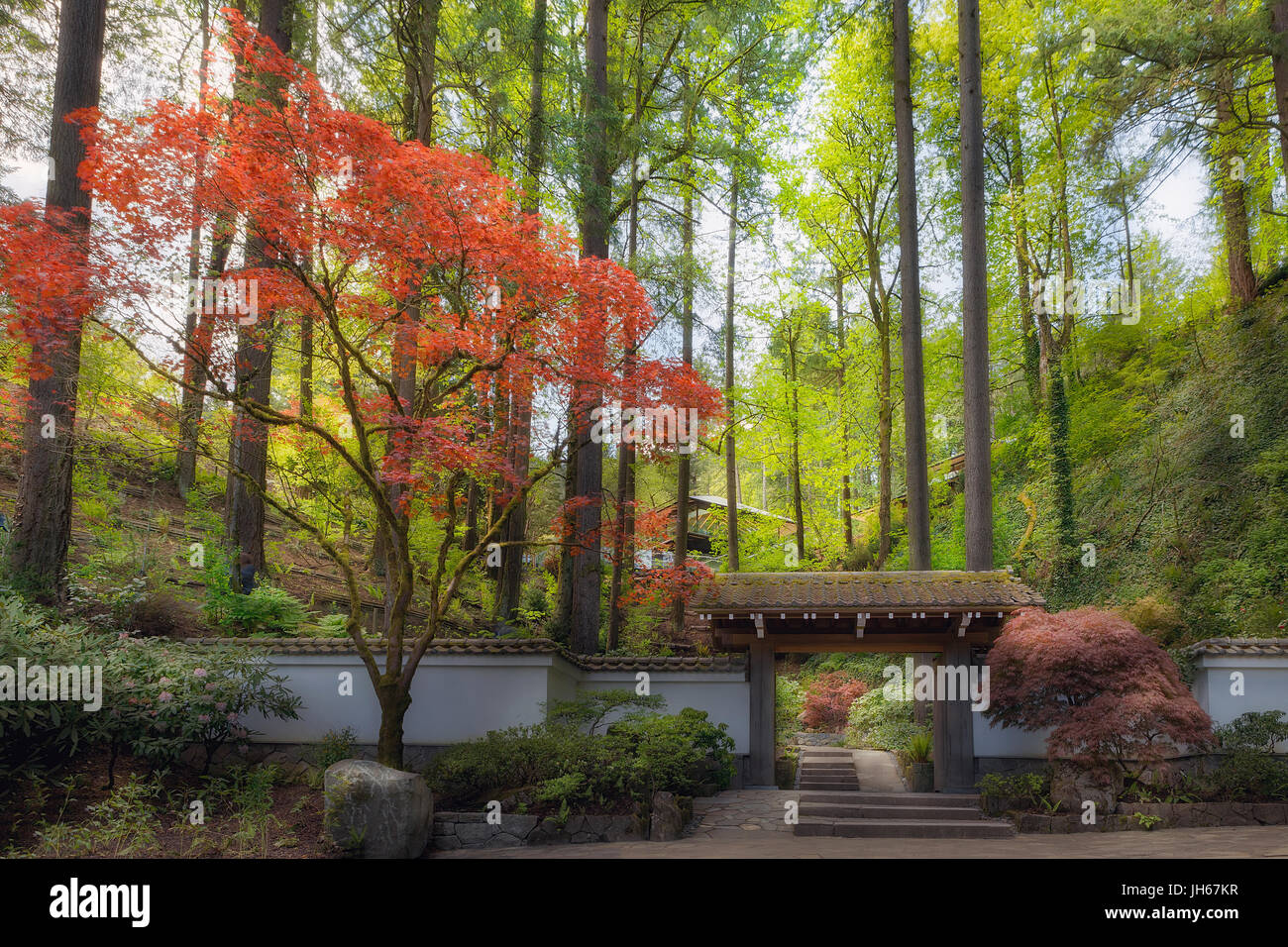 Ingresso Gateway a Portland giardino giapponese in stagione primavera Foto Stock