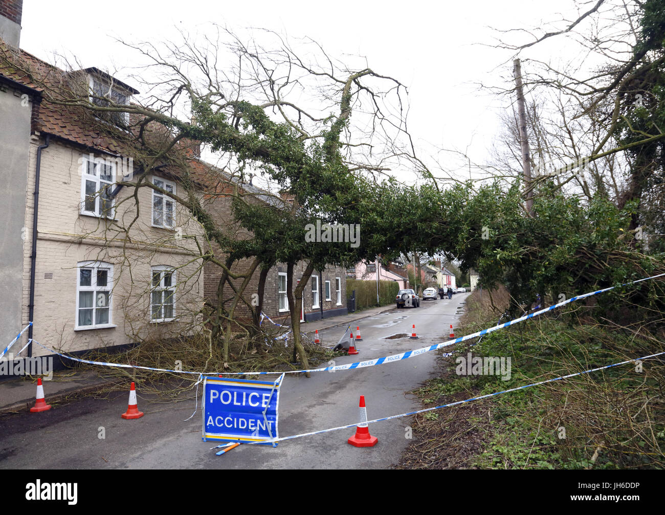 Albero caduto su una casa a causa di tempesta Doris. Foto Stock