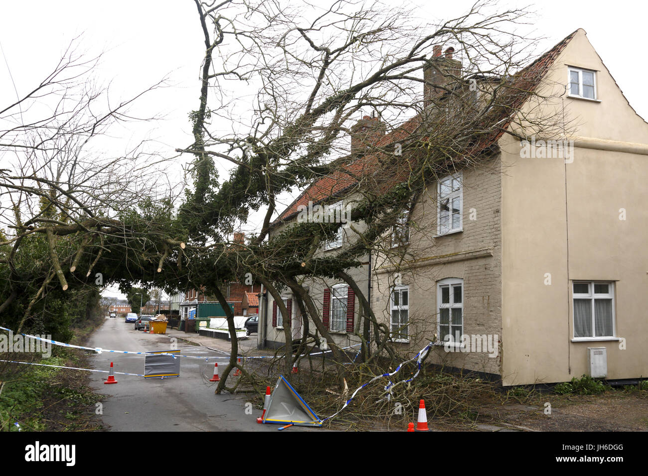 Albero caduto su una casa a causa di tempesta Doris. Foto Stock