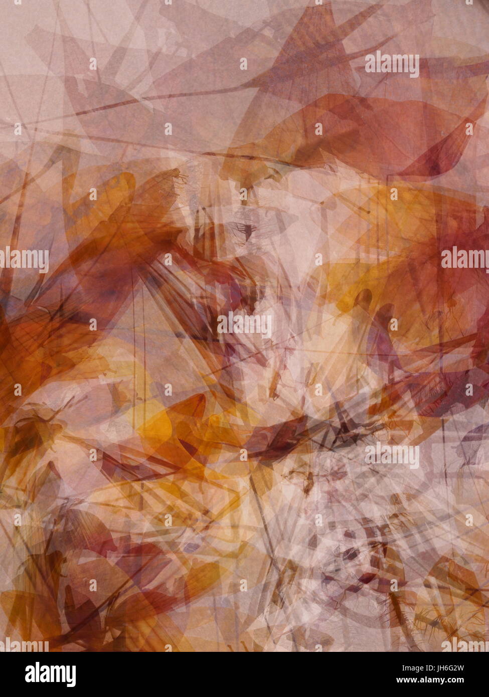 Si tratta di alcuni petali di fiore ho preso spostando il soggetto durante l'attivazione. Tutti i lavori viene effettuata all'interno di te la fotocamera e il file di output è un raw Foto Stock