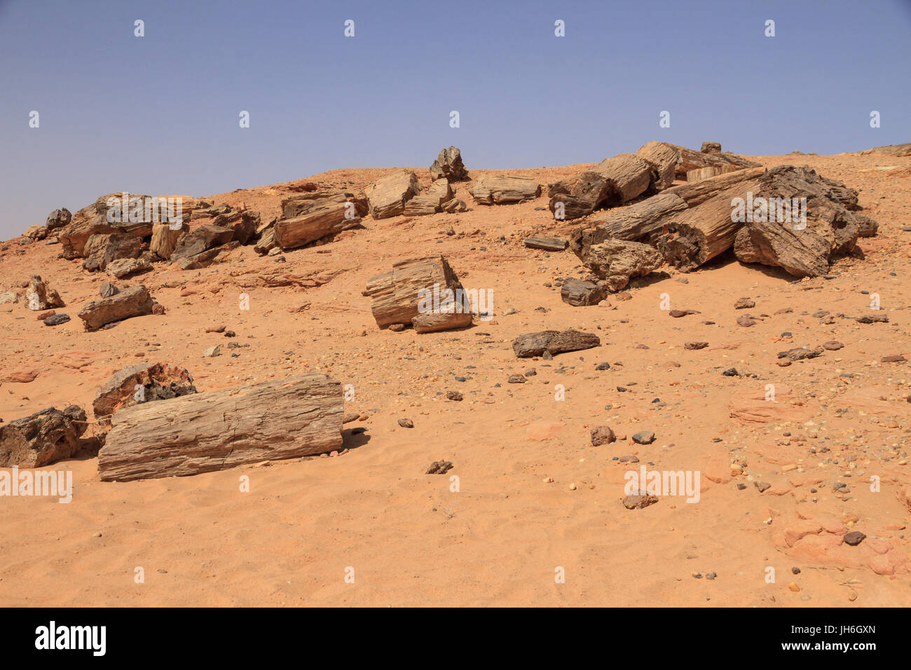 Legno pietrificato vicino a El Kurru, Sudan settentrionale Foto Stock