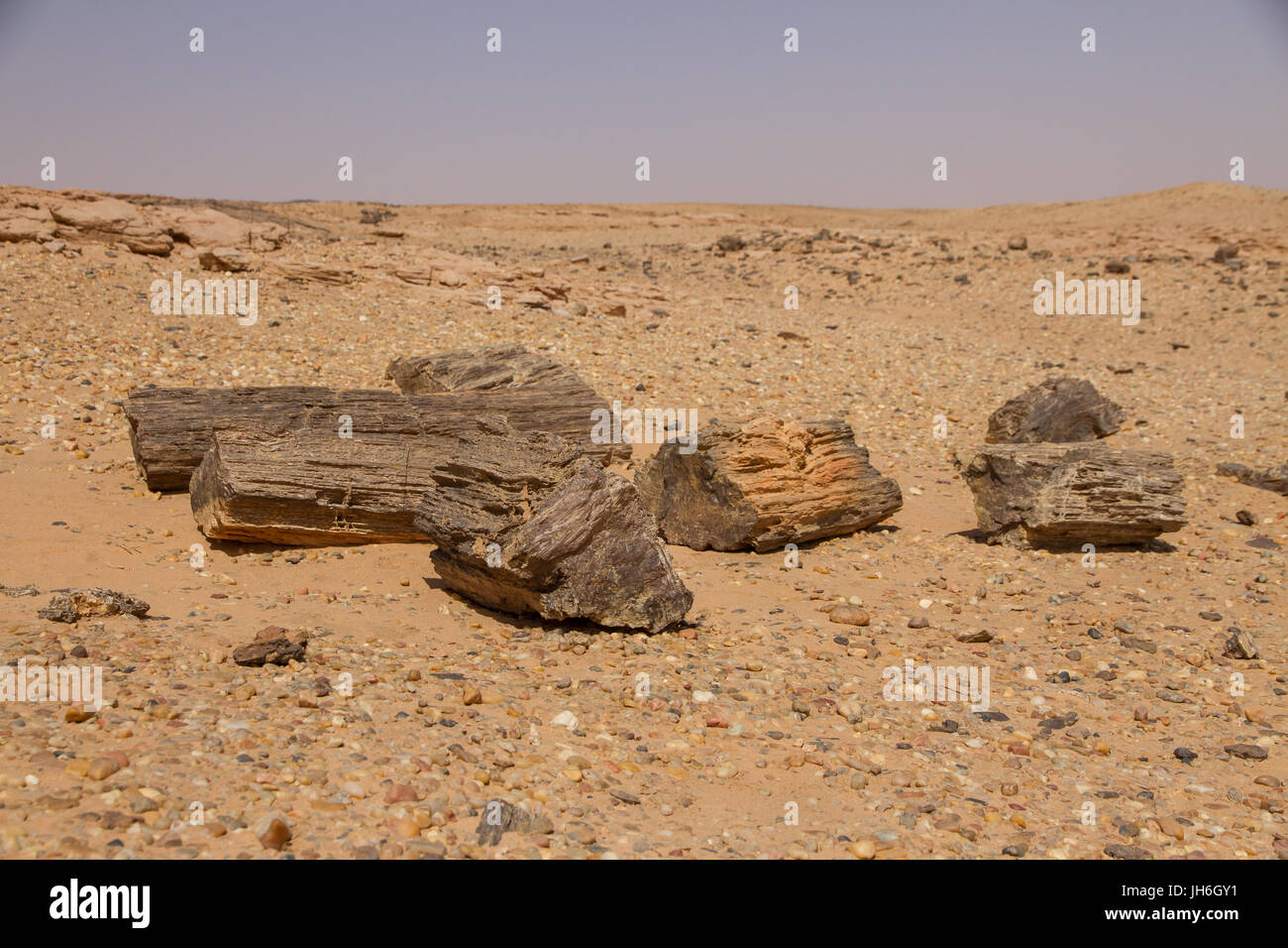 Legno pietrificato vicino a El Kurru, Sudan settentrionale Foto Stock