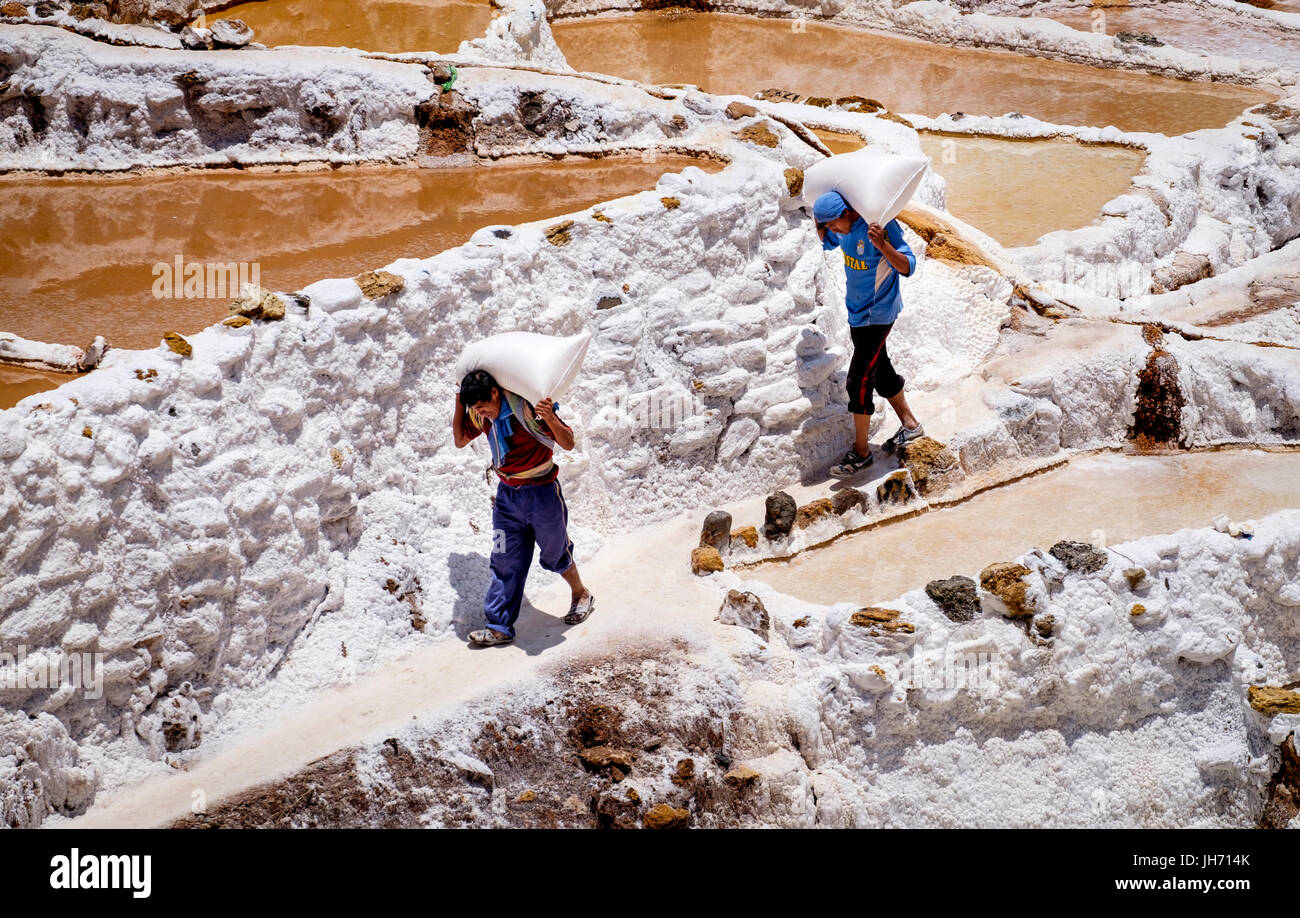 MARAS, Perù - circa ottobre 2015: i lavoratori borse e zaini all'Marasal sale pianure vicino al villaggio di Maras nella regione di Cusco noto come Sacra Vall Foto Stock