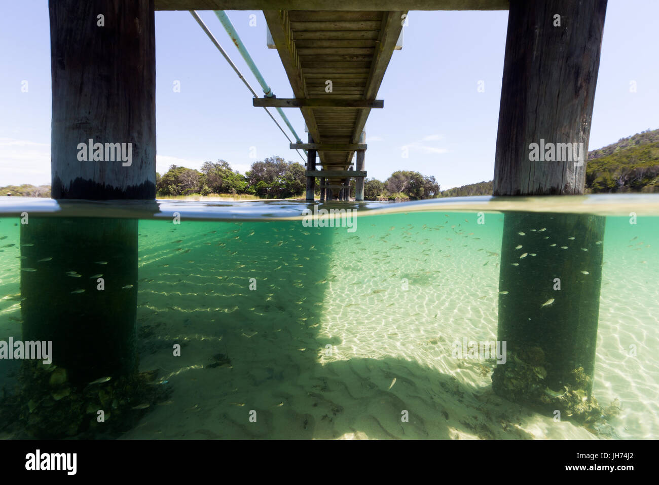 Il piccolo pesce scuola insieme sotto un molo in acqua turchese in questo split subacquea immagine presa in Australia. Foto Stock