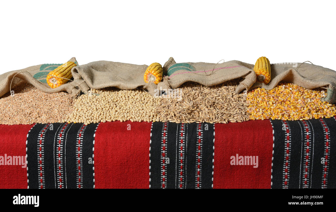 Il farro, soia e chicchi di grano e di chicchi di mais versata da sacchi di iuta che giacciono su un kilim. Le pannocchie sono anche visibili. Su sfondo bianco. Foto Stock