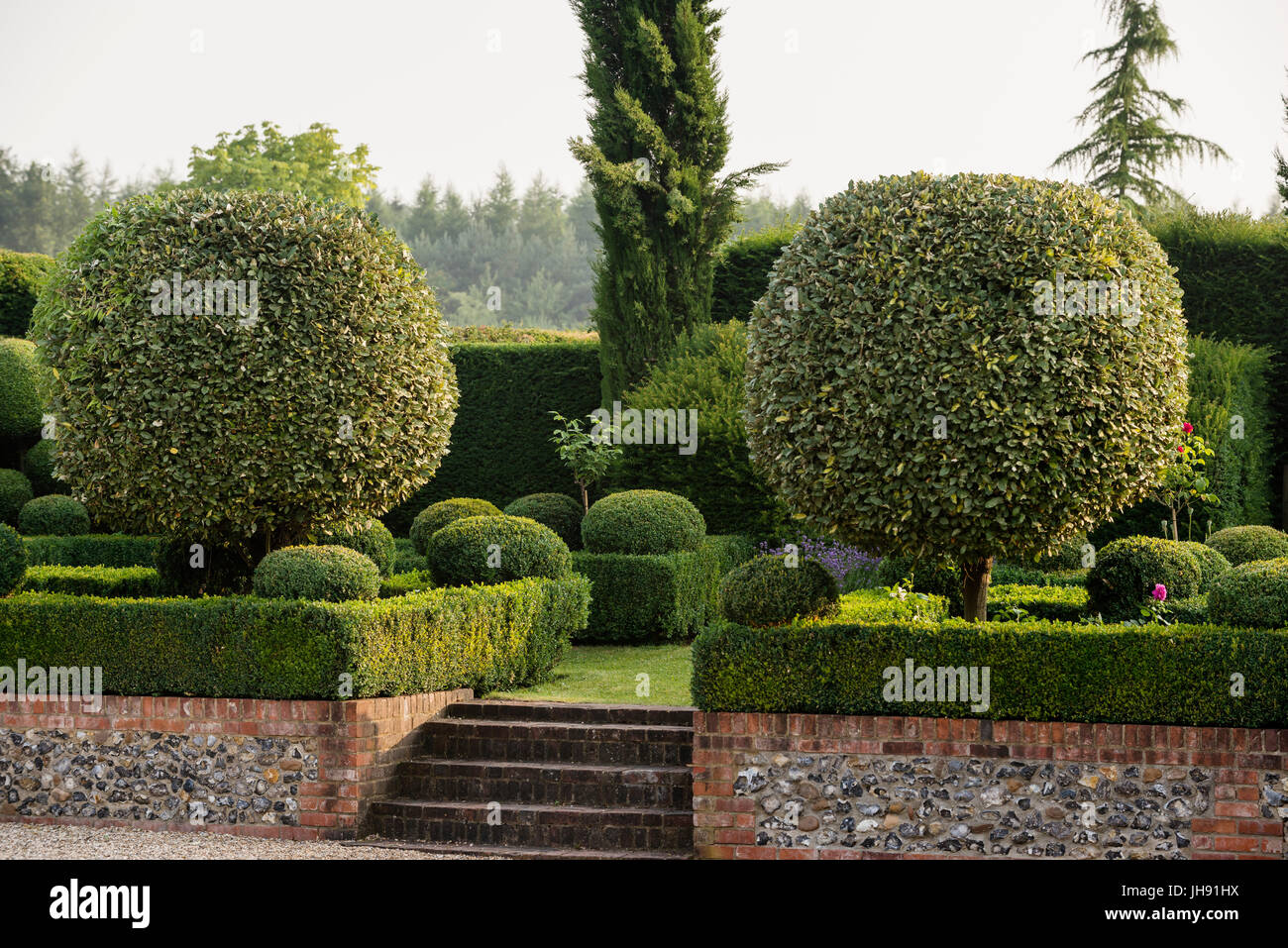Muro di mattoni e scale in hedge garden Foto Stock