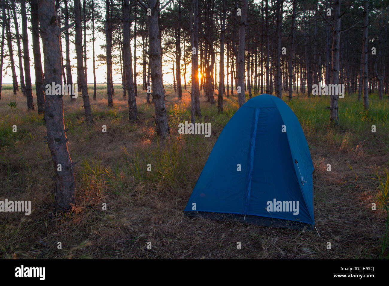 Tenda da campeggio nella foresta con il tramonto del sole Tenda da campeggio nella foresta con il tramonto del sole