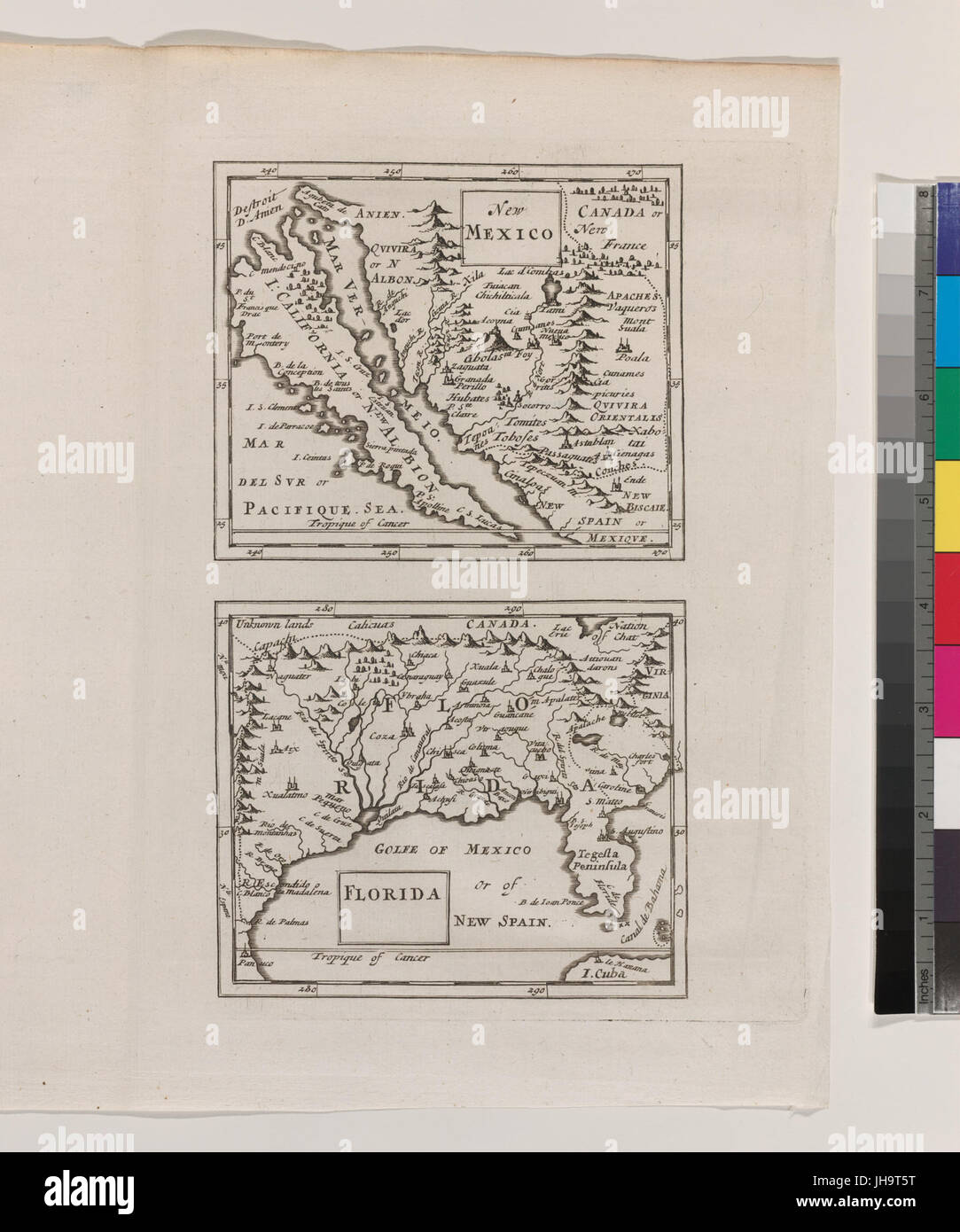 Nuovo Messico; Florida (NYPL b14428893-1503453) Foto Stock